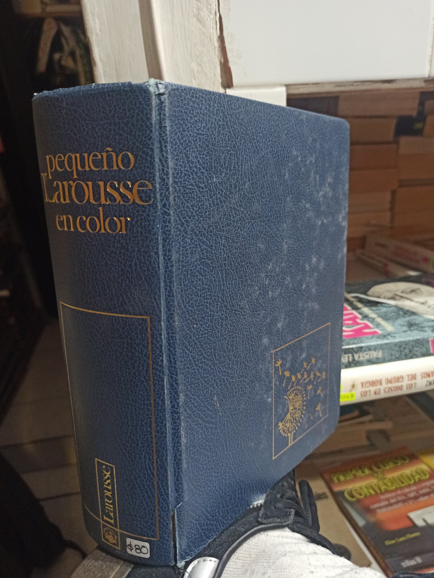 PEQUEÑO LAROUSSE EN COLOR USADO EDUCACIÓN JUÁREZ