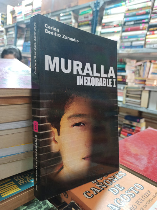 MURALLA INEXORABLE 1 POR CARINA BENITEZ ZAMUDIO USADO NOVELAS ALDAMA