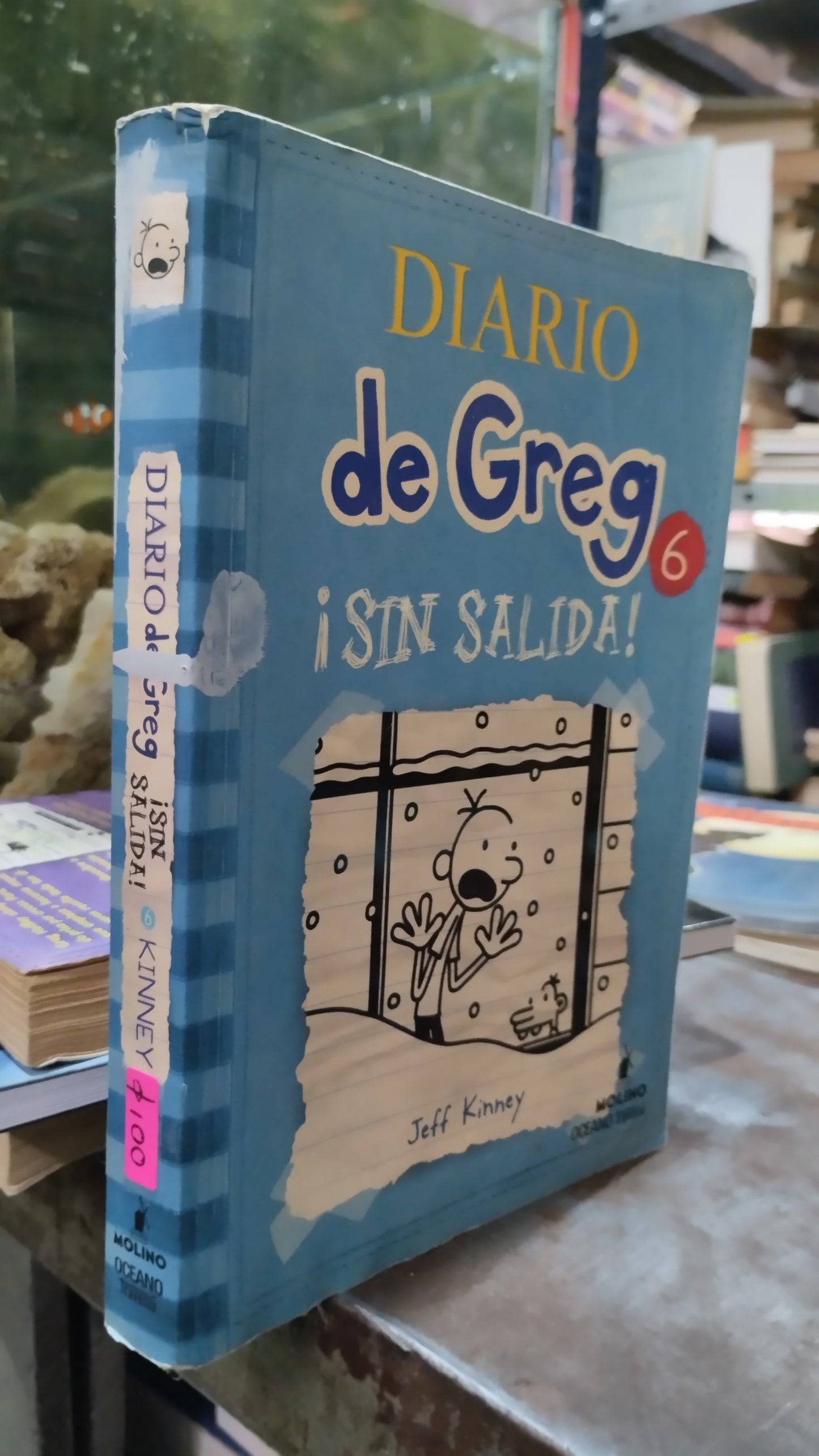 DIARIO DE GREG 6 SIN SALIDA LIBRO USADO INFANTIL ALDAMA