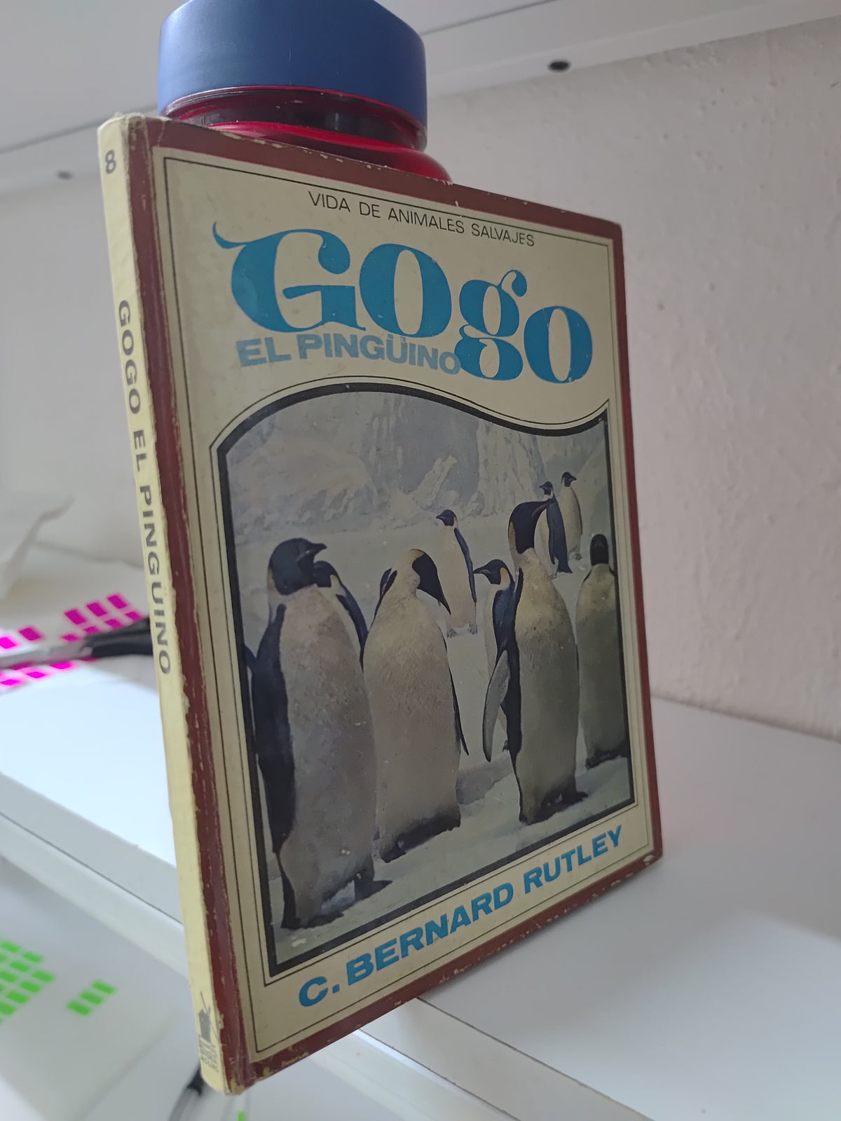 GOGO EL PINGUINO POR C. BERNARD RUTLEY USADO BIOLOGIA JUAREZ 515