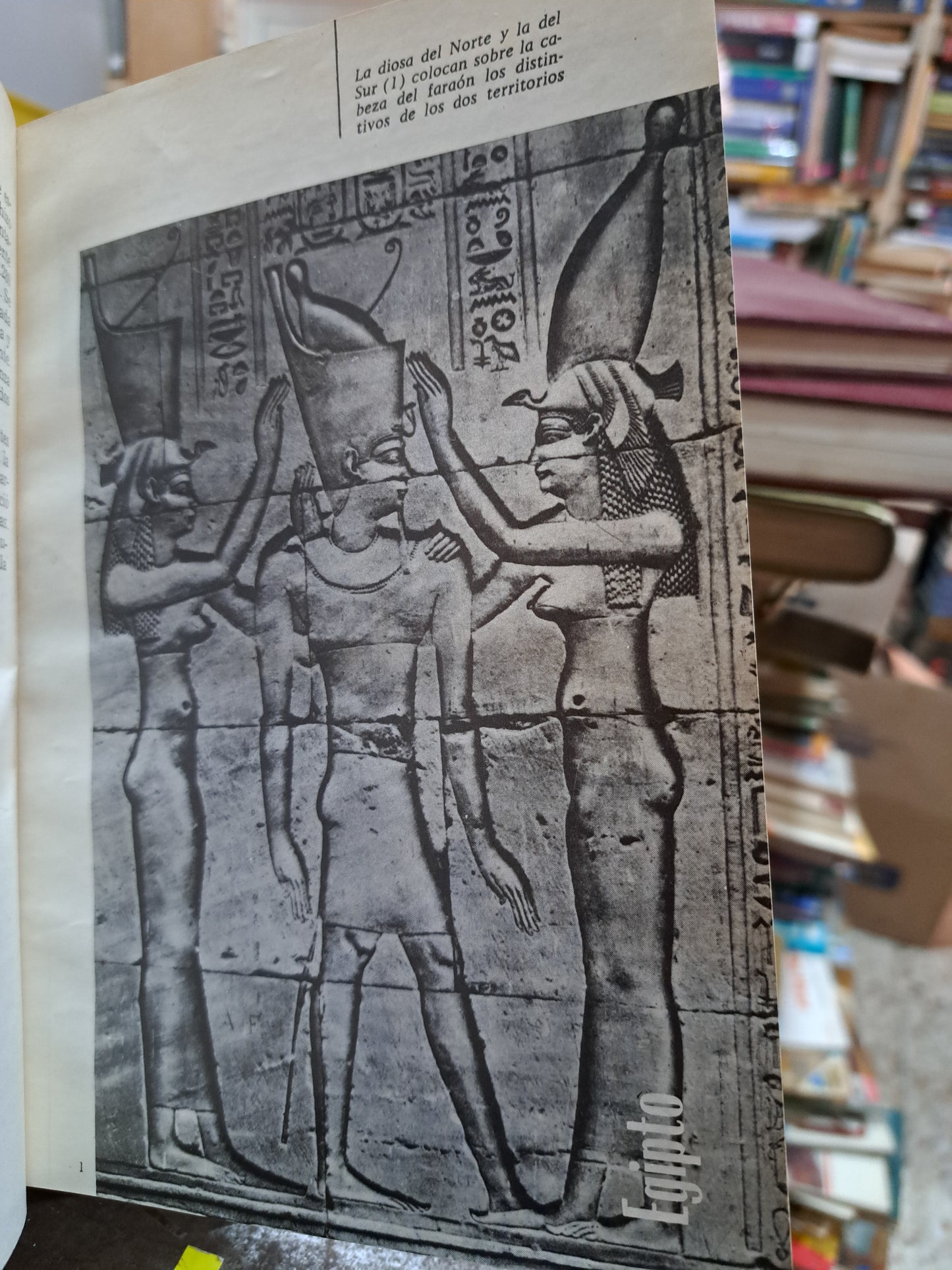 5000 AÑOS DE HISTORIA MARÍA ROSELLO MORA USADO ANTIGUO ALDAMA