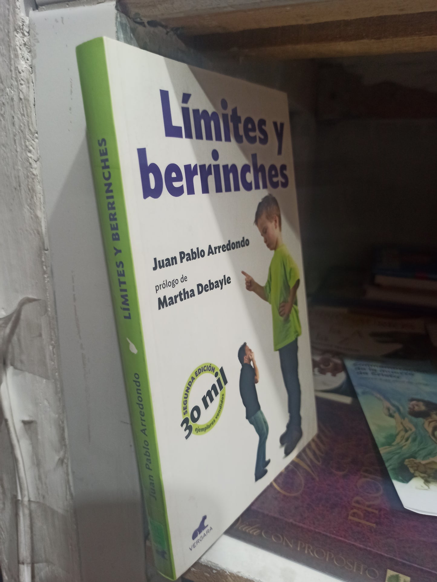 LIMITES Y BERRINCHES POR JUAN PABLO ARREDONDO USADO PSICOLOGÍA JUÁREZ