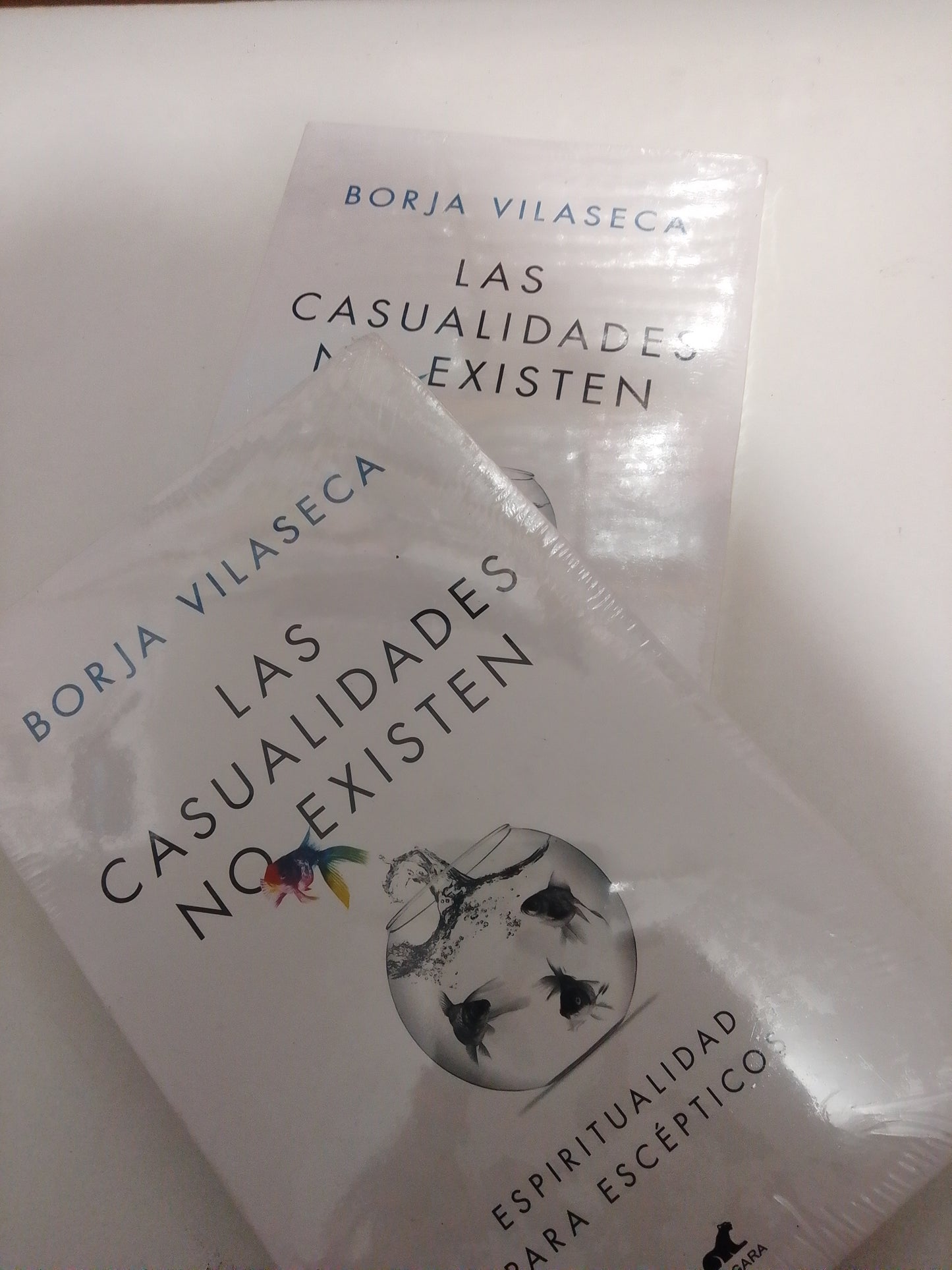 LAS CASUALIDADES NO EXISTEN POR BORJA VILASECA NUEVO JUAREZ