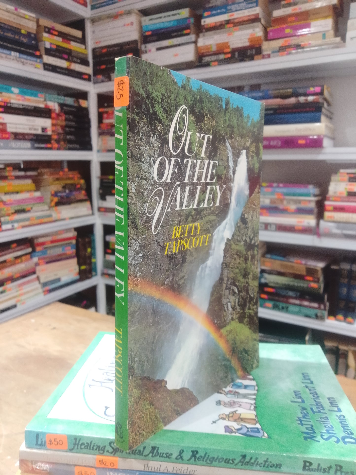 OUT OF THE VALLEY BETTY TAPSCOTT USADO IDIOMAS JUAREZ 515