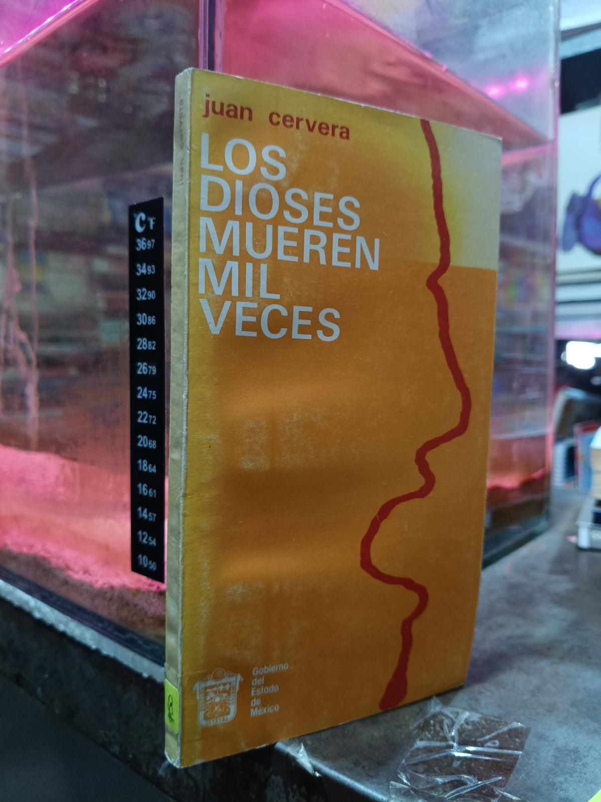 LOS DIOSES MUEREN MIL VECES POR JUAN CERVERA USADO NOVELA ALDAMA