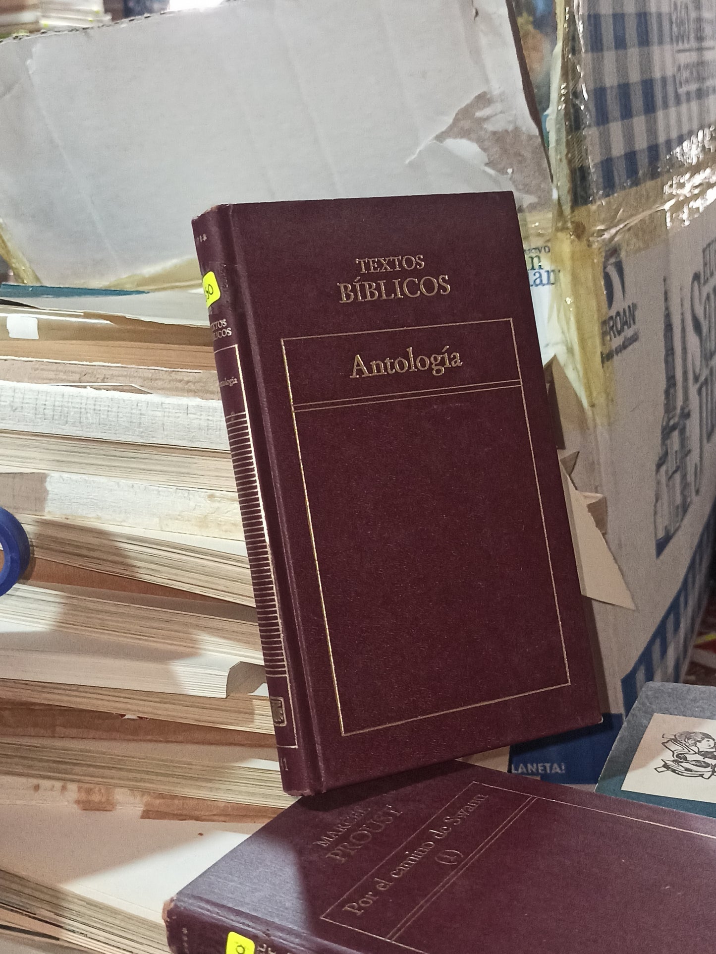 ANTOLOGIA DE TEXTOS BIBLICOS POR EDITORIAL ORIGEN USADO NOVELAS ALDAMA