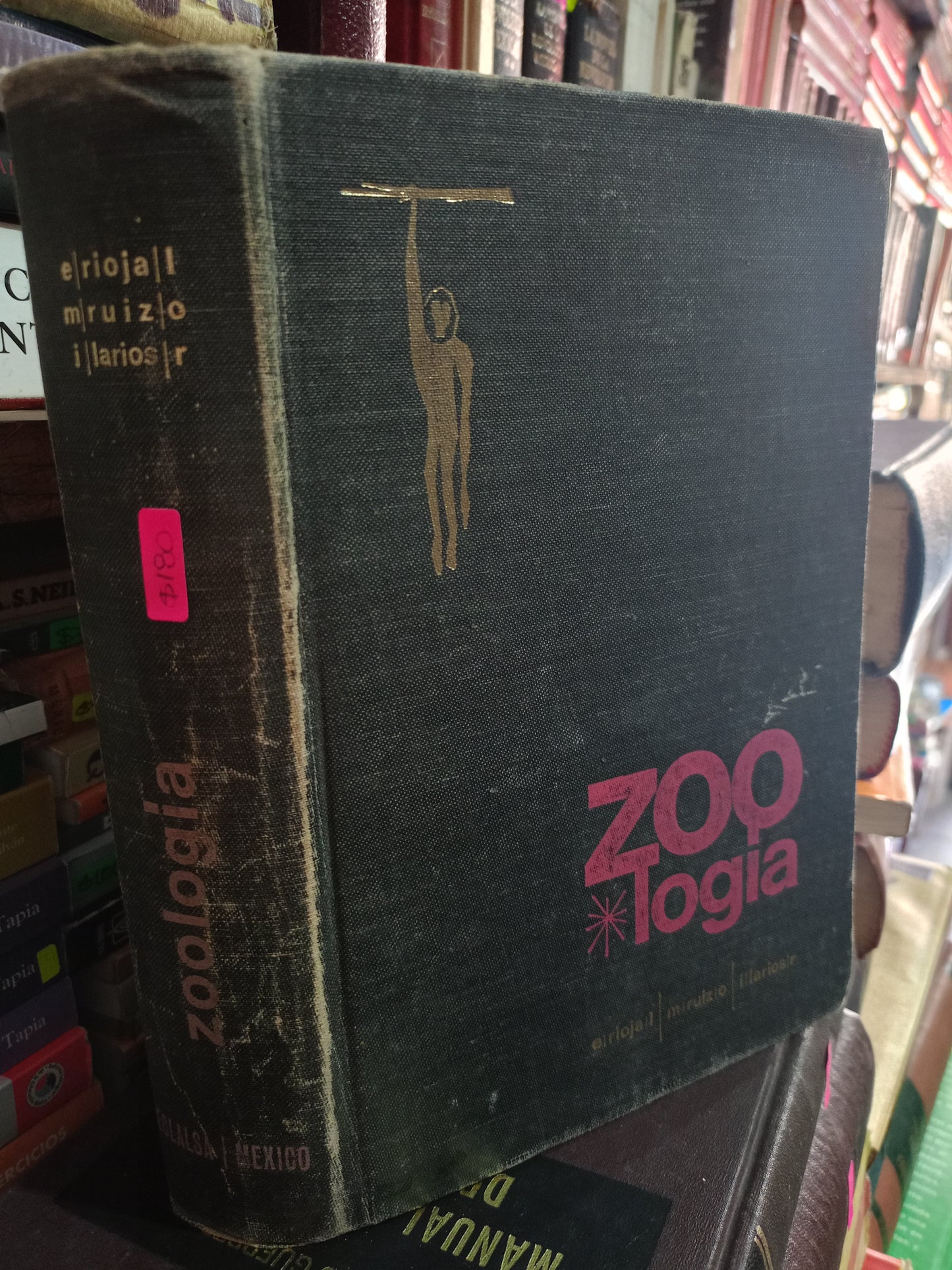 ZOOLOGIA POR ENRIQUE RIOJAS LO BISNCO MANUEL RUIZ ORONOZ E IGNACIO LARIOS RODRIGUEZ USADO BIOLOGIA LITERARIO 305