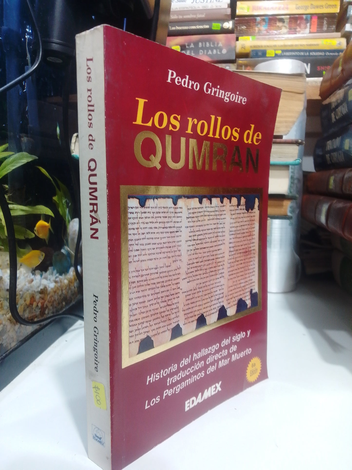 LOS ROLLOS DE QUMRAN, PEDRO GRINGORE, USADO, HISTORIA, JUAREZ 515