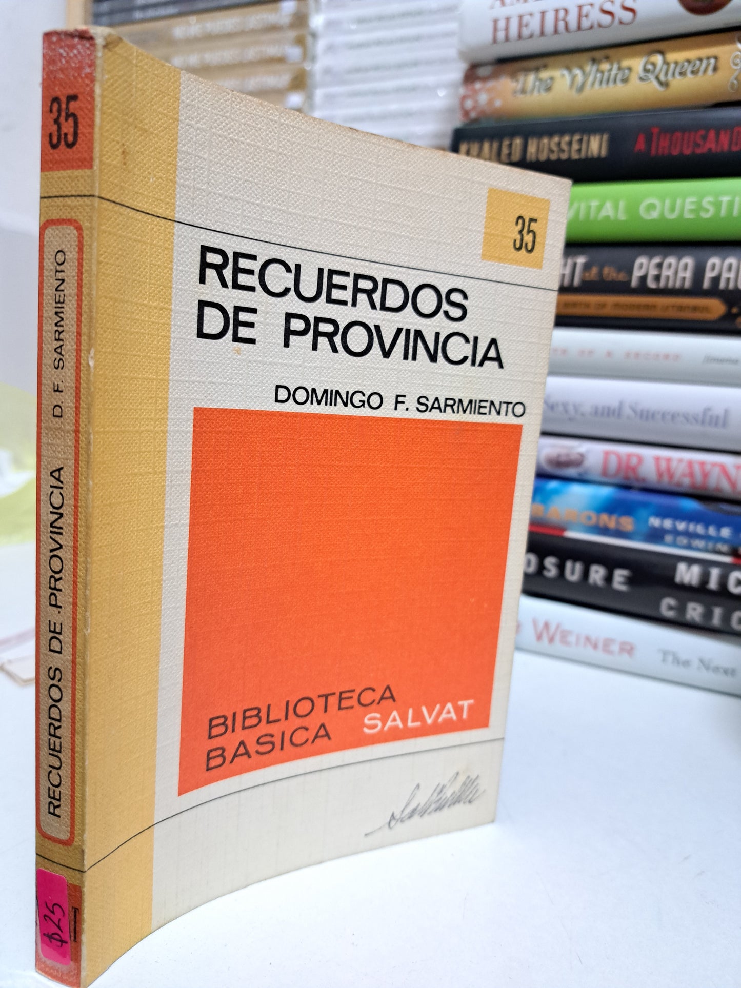 RECUERDOS DE PROVINCIA DOMINGO F. SARMIENTO USADO NOVELA JUÁREZ