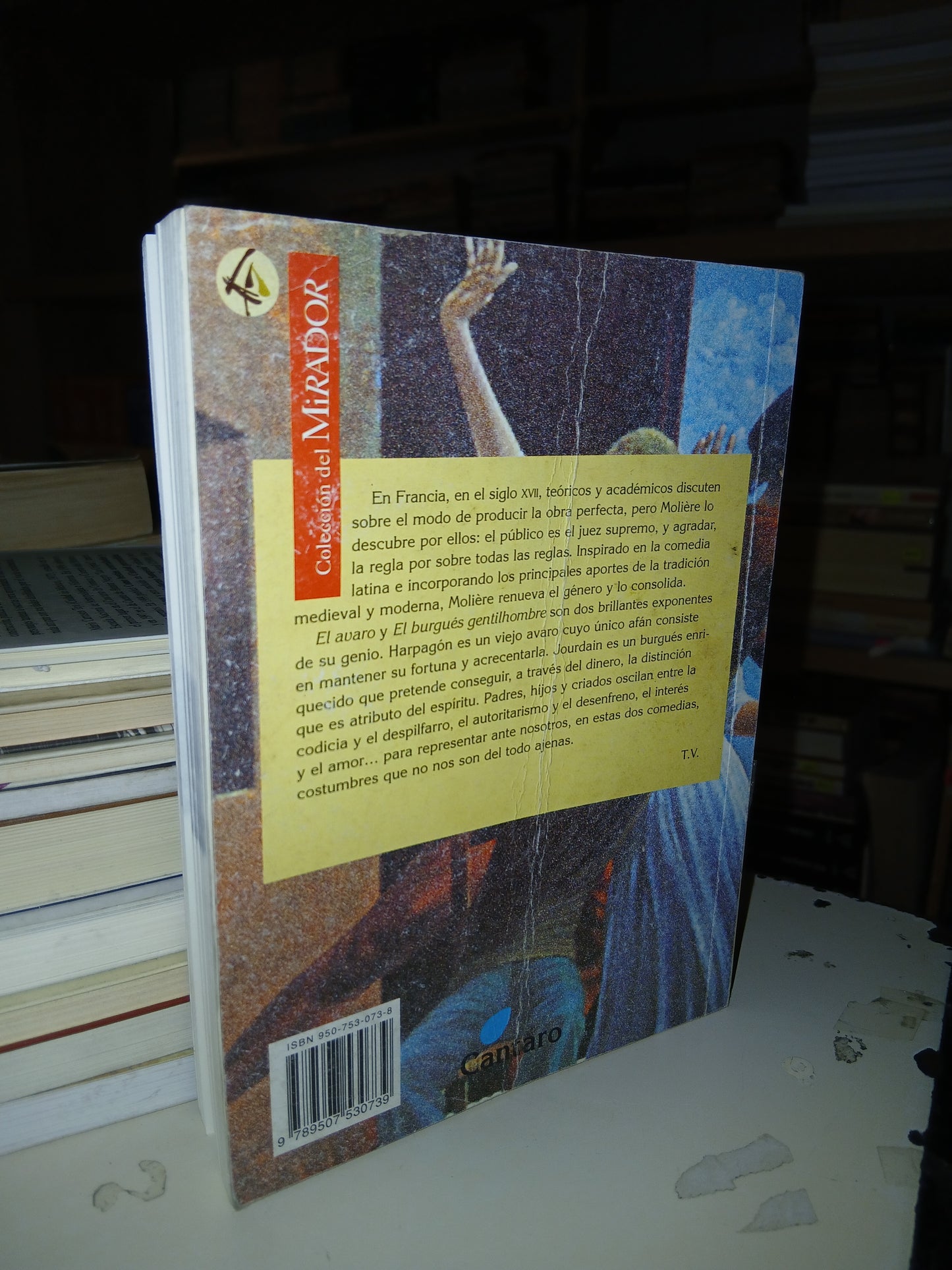 EL AVARO/EL BURGUÉS GENTILHOMBRE POR MOLIÉRE USADO TEATRO LITERARIO 207