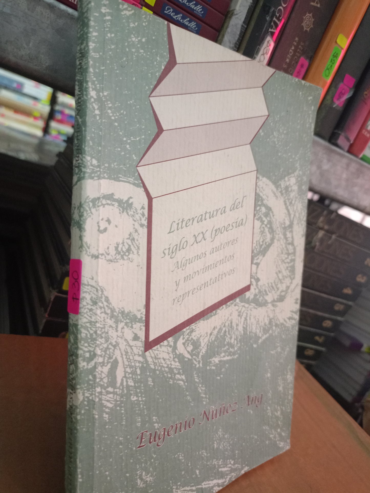 LITERATURA DEL SIGLO XX POESIA ALGUNOS AUTORES Y MOVIMIENTOS REPRESENTATIVOS USADO POESIA LITERARIO 305
