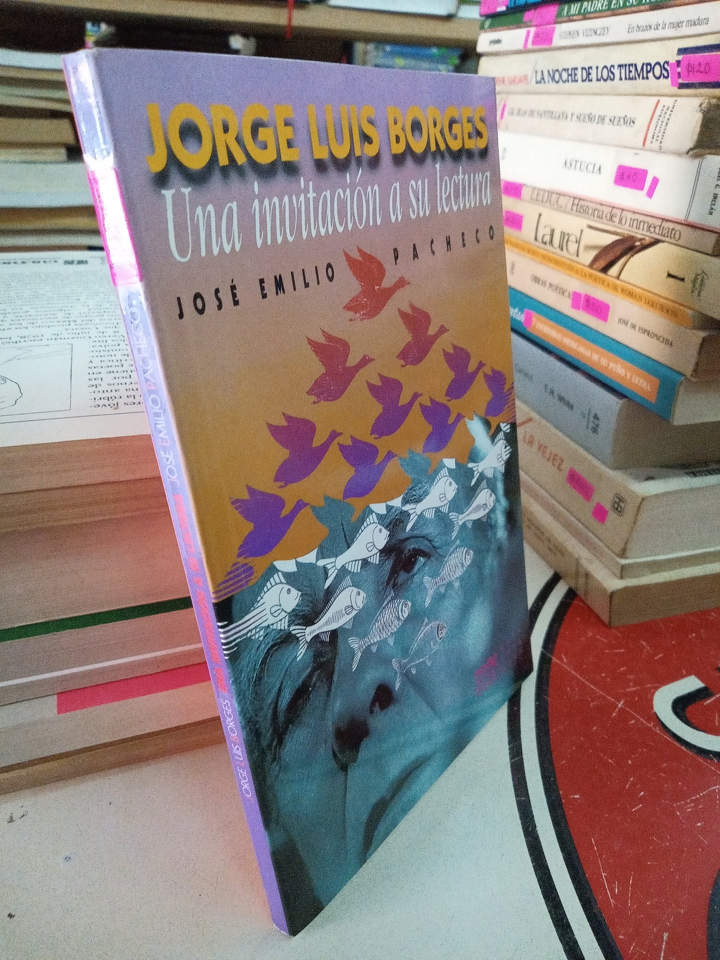 UNA INVITACIÓN A SU LECTURA POR JORGE LUIS BORGES USADO NOVELA LITERARIO 207