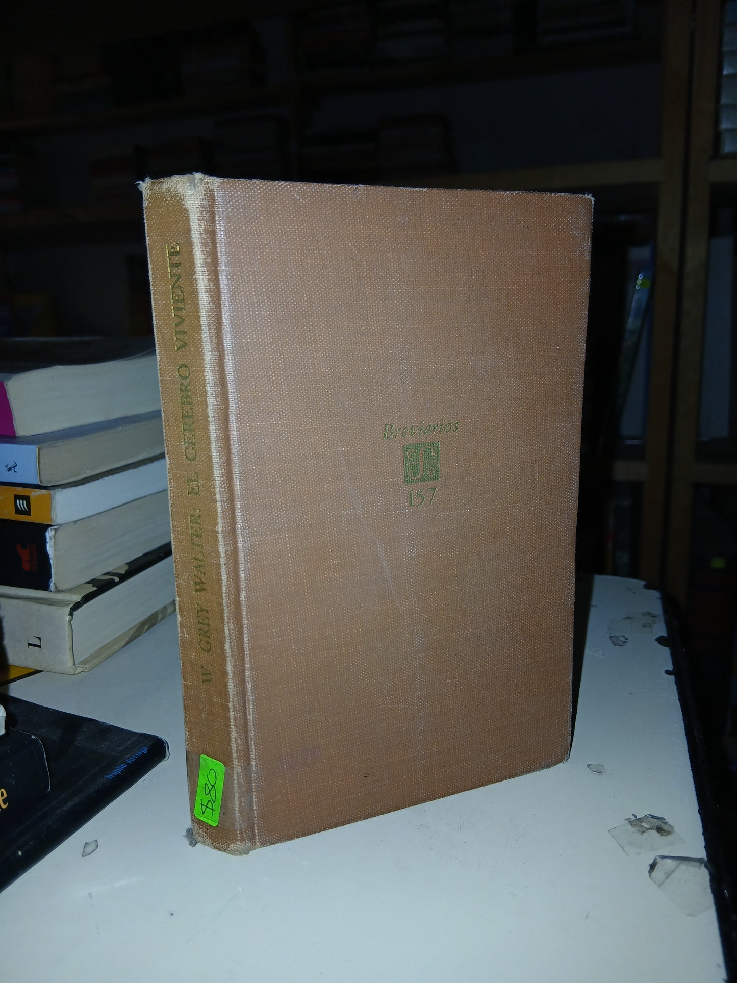 EL CEREBRO VIVIENTE POR W. GREY WALTER USADO CIENCIA LITERARIO 207