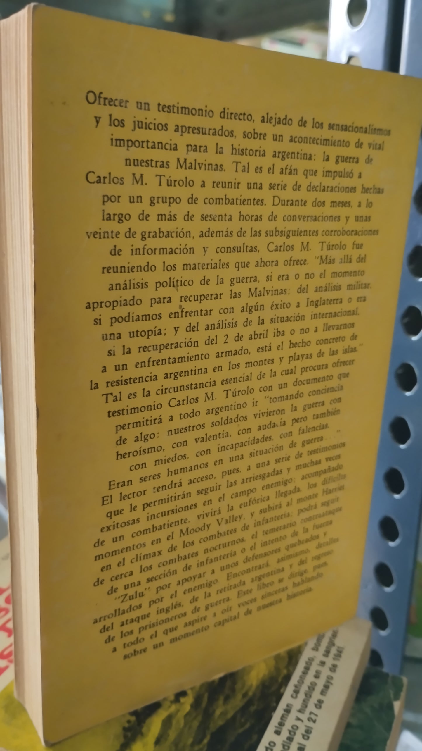 ASI LUCHARON POR CARLOS M TUROLO LIBRO USADO HISTORIA ALDAMA