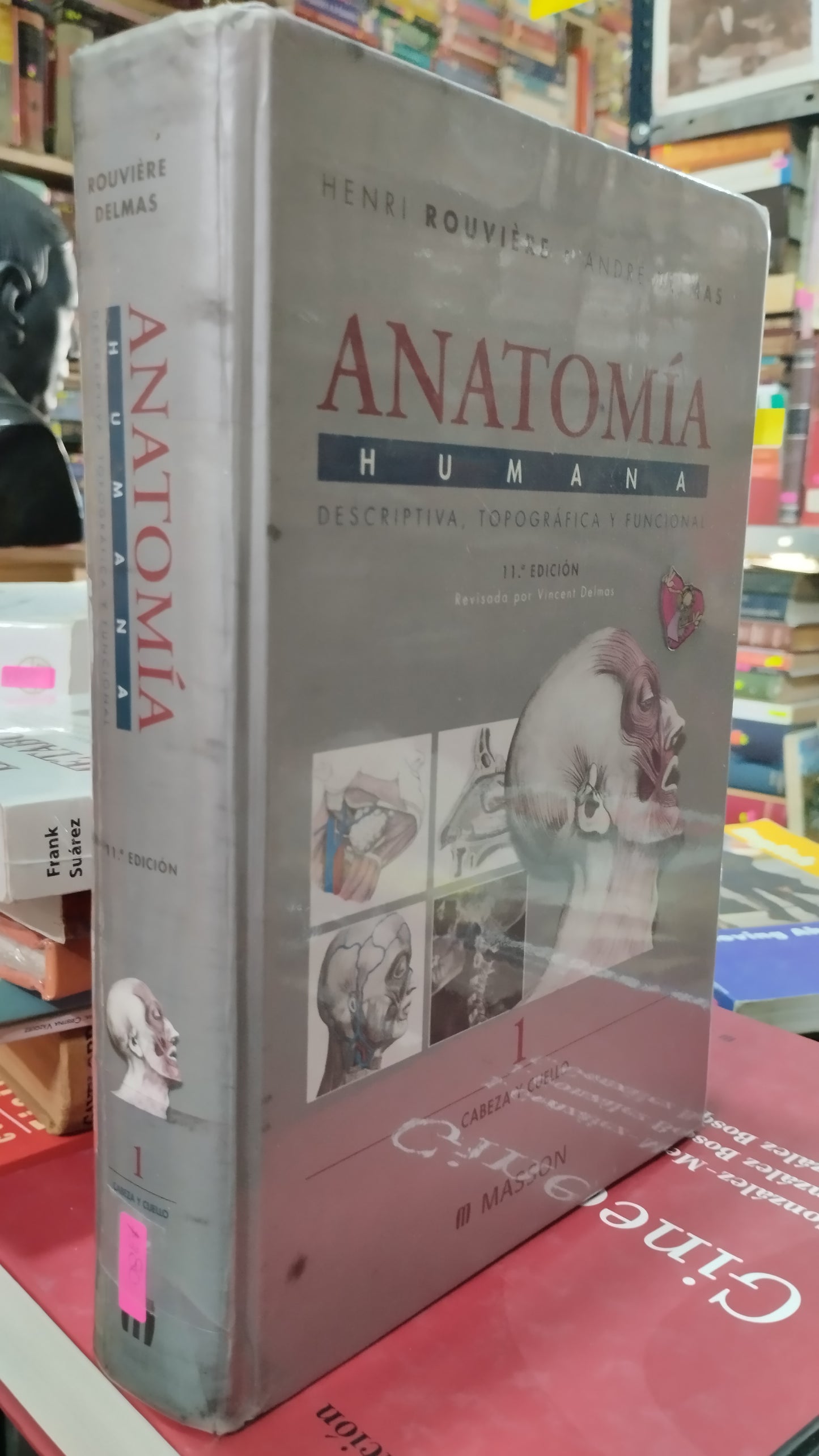 ANATOMIA HUMANA POR HENRI ROUVIERE LIBRO USADO SALUD ALDAMA