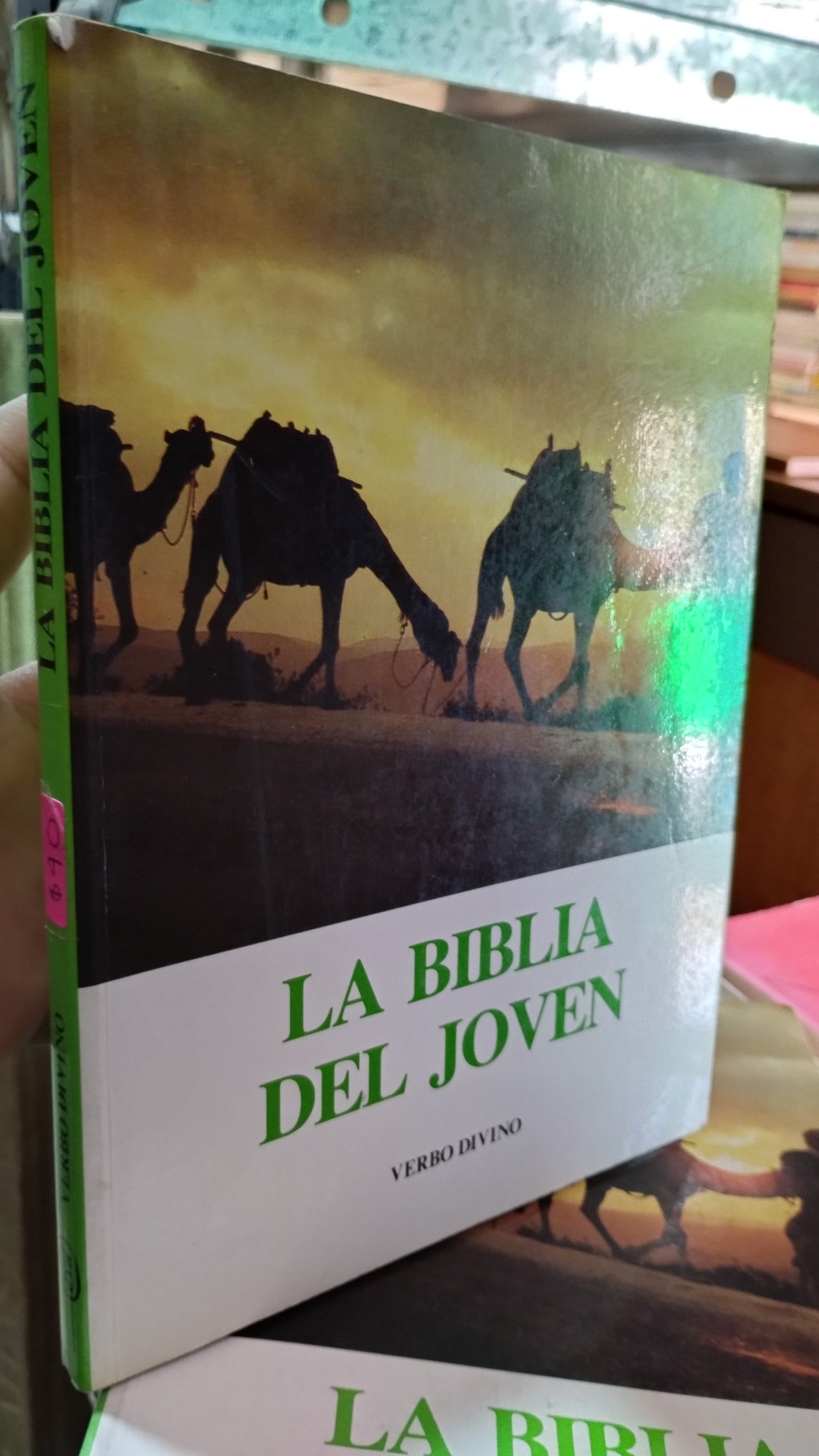 LA BIBLIA DEL JOVEN POR EDITORIAL VERBO DIVINO LIBRO USADO RELIGION ALDAMA