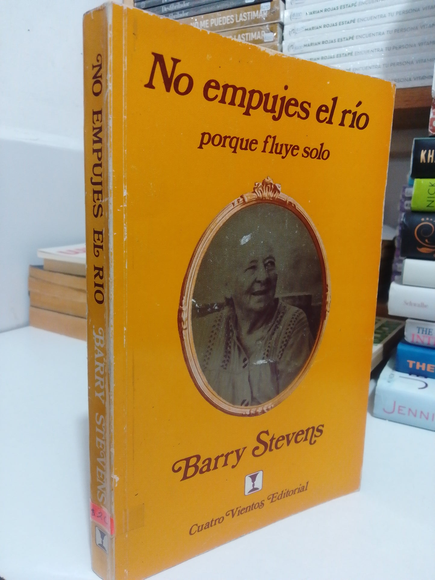 NO EMPUJES EL RÍO PORQUE FLUYE SOLO POR BARRY STEVENS USADO NOVELA JUÁREZ