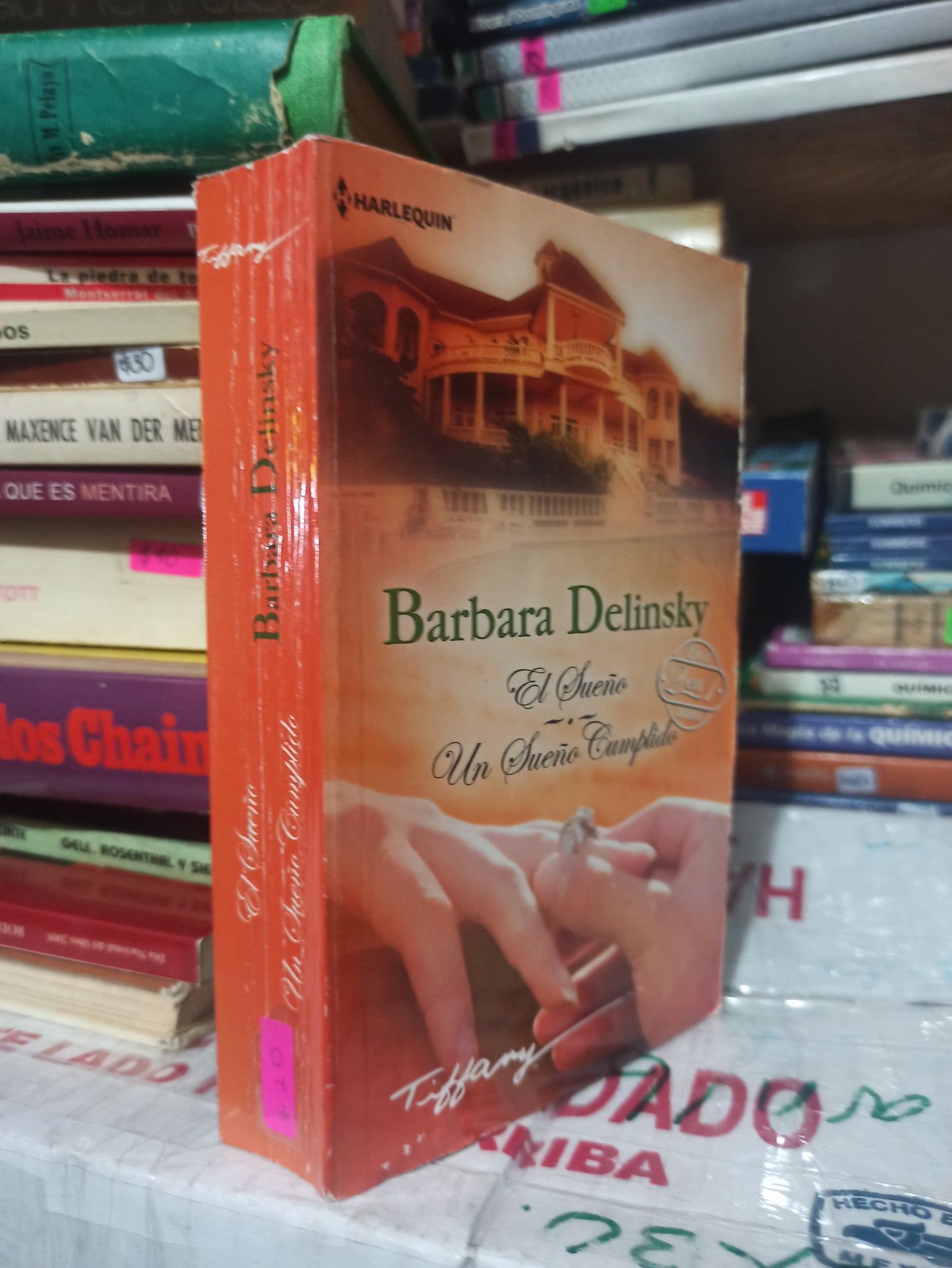 EL SUEÑO/UN SUEÑO COMPLICADO POR BÁRBARA DELINSKY USADO NOVELAS JUÁREZ