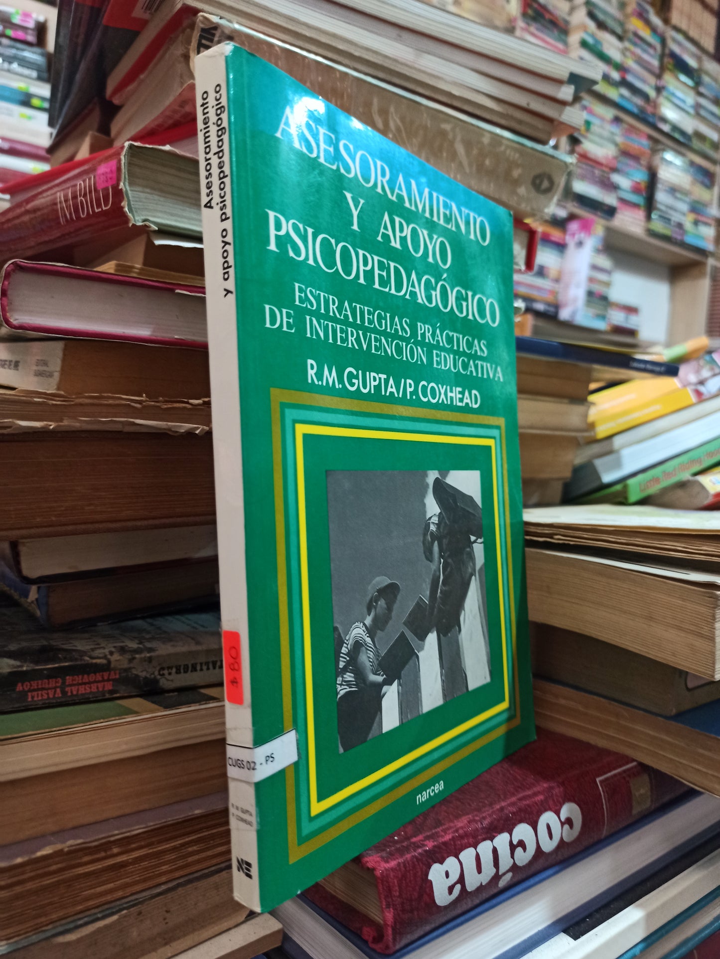 ASESORAMIENTO Y APOYO PSICOPEDAGOGICO POR R. M. GUPTA USADO PSICOLOGÍA ALDAMA