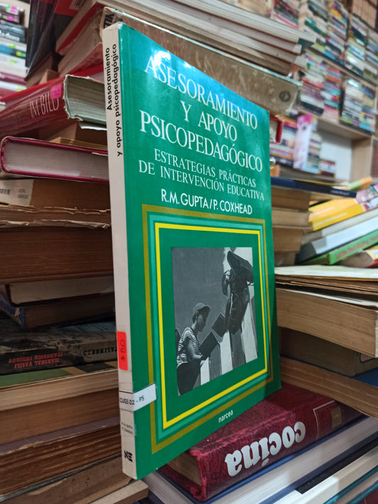 ASESORAMIENTO Y APOYO PSICOPEDAGOGICO POR R. M. GUPTA USADO PSICOLOGÍA ALDAMA