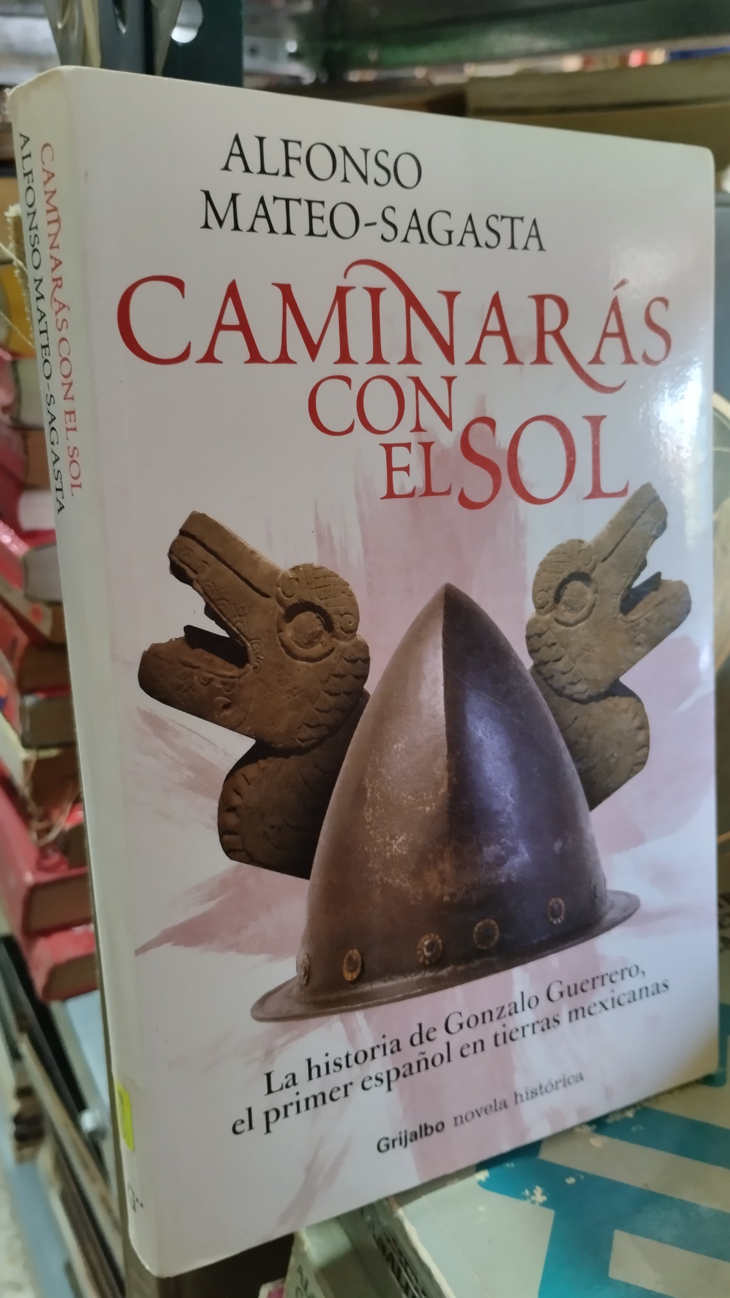 CAMINARAS CON EL SOL POR ALFONSO MATEO SAGASTA LIBRO USADO NOVELAS ALDAMA