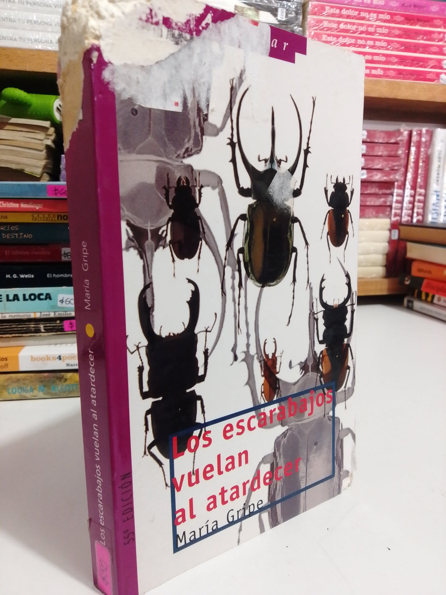 LOS ESCARABAJOS VUELAN AL ATARDECER POR MARIA GRIPE USADO NOVELAS JUAREZ
