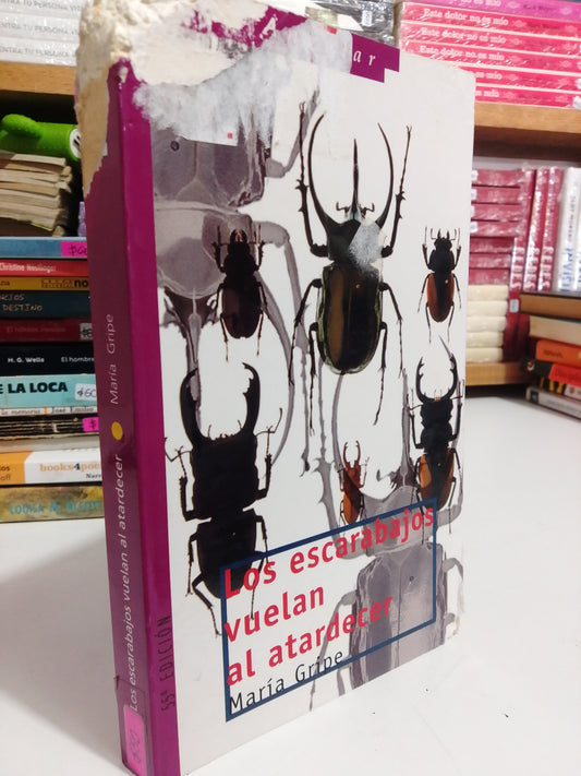 LOS ESCARABAJOS VUELAN AL ATARDECER POR MARIA GRIPE USADO NOVELAS JUAREZ