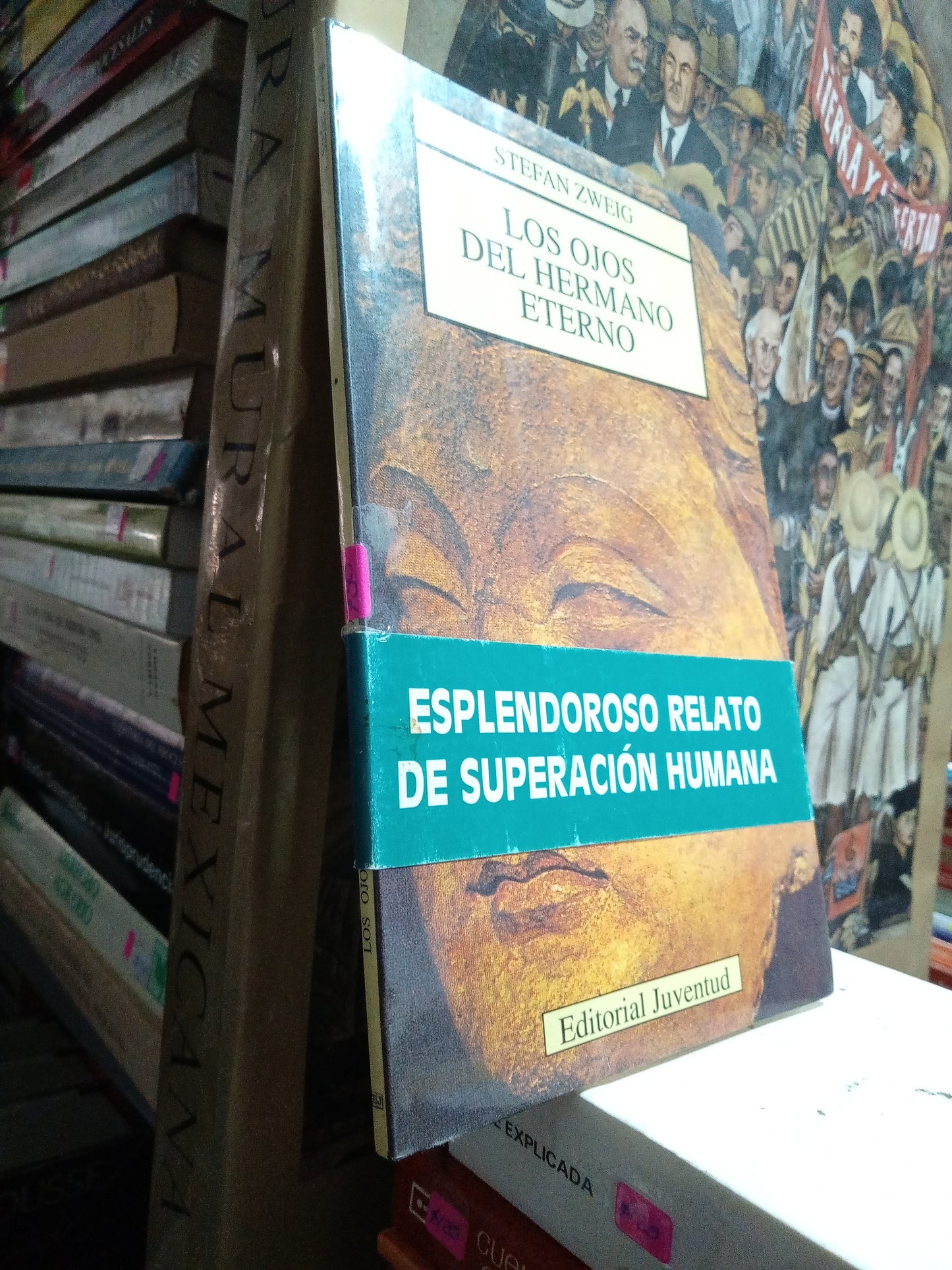LOS OJOS DEL HERMANO ETERNO POR STEFAN ZWEIG USADO NOVELA JUAREZ