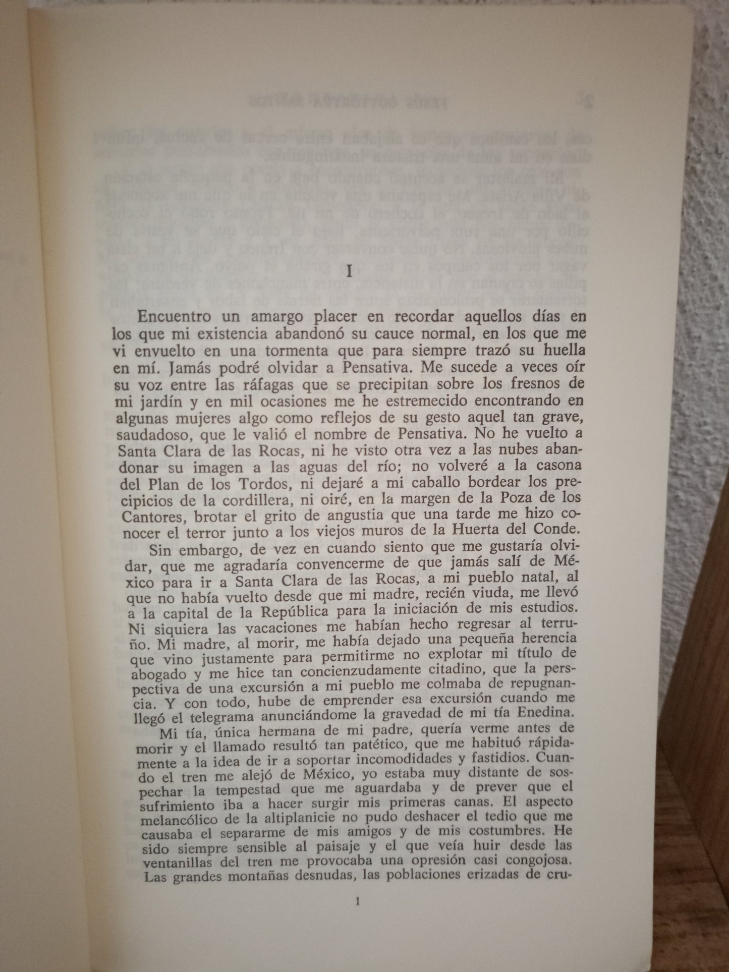 PENSATIVA POR JESÚS GOYTORTÚA SANTOS USADO NOVELA LITERARIA 305