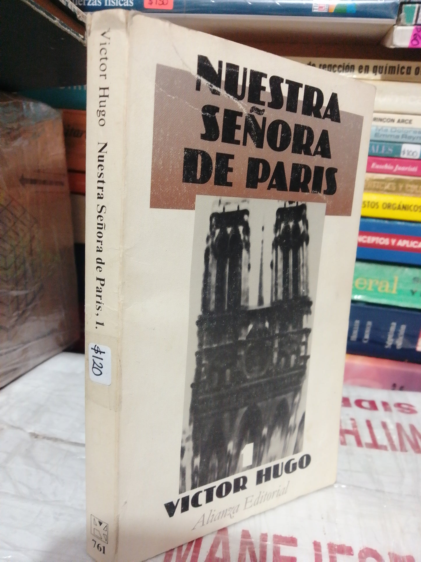NUESTRA SEÑORA DE PARIS POR VICTOR HUGO USADO NOVELA JUÁREZ