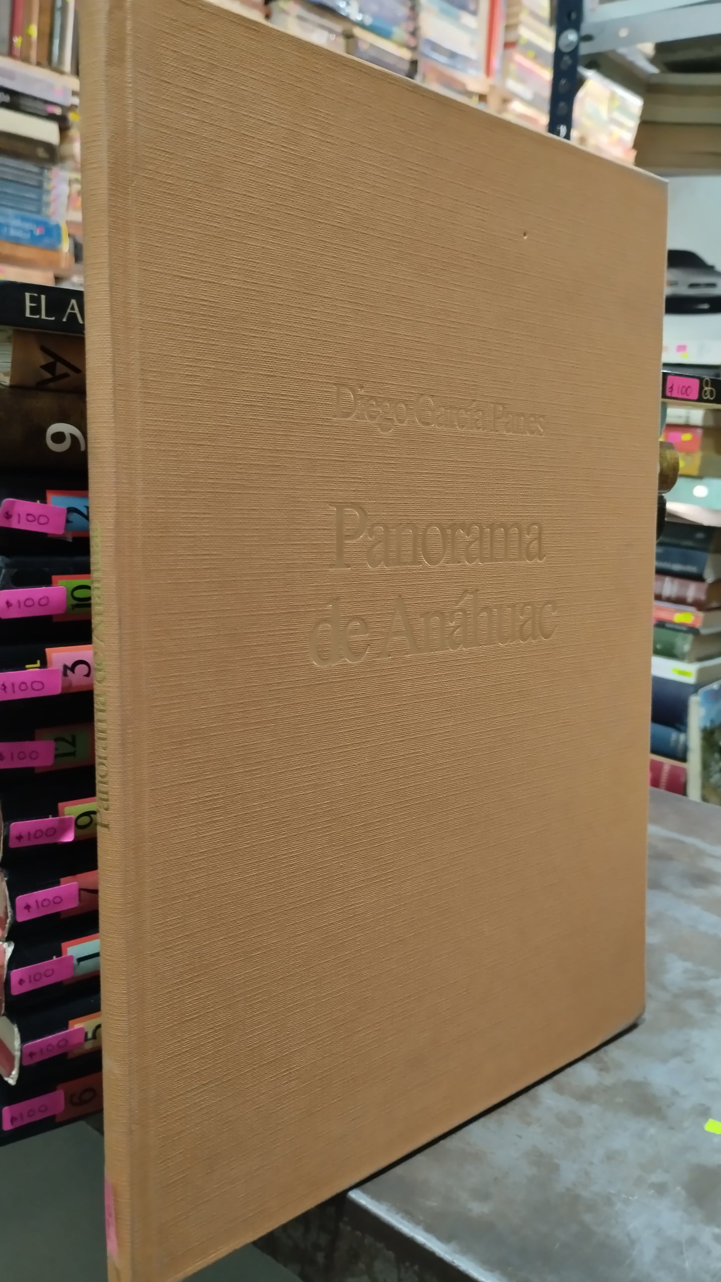 PANORAMA DE ANAHUAC POR DIEGO GARCIA PANES LIBRO USADO HISTORIA ALDAMA