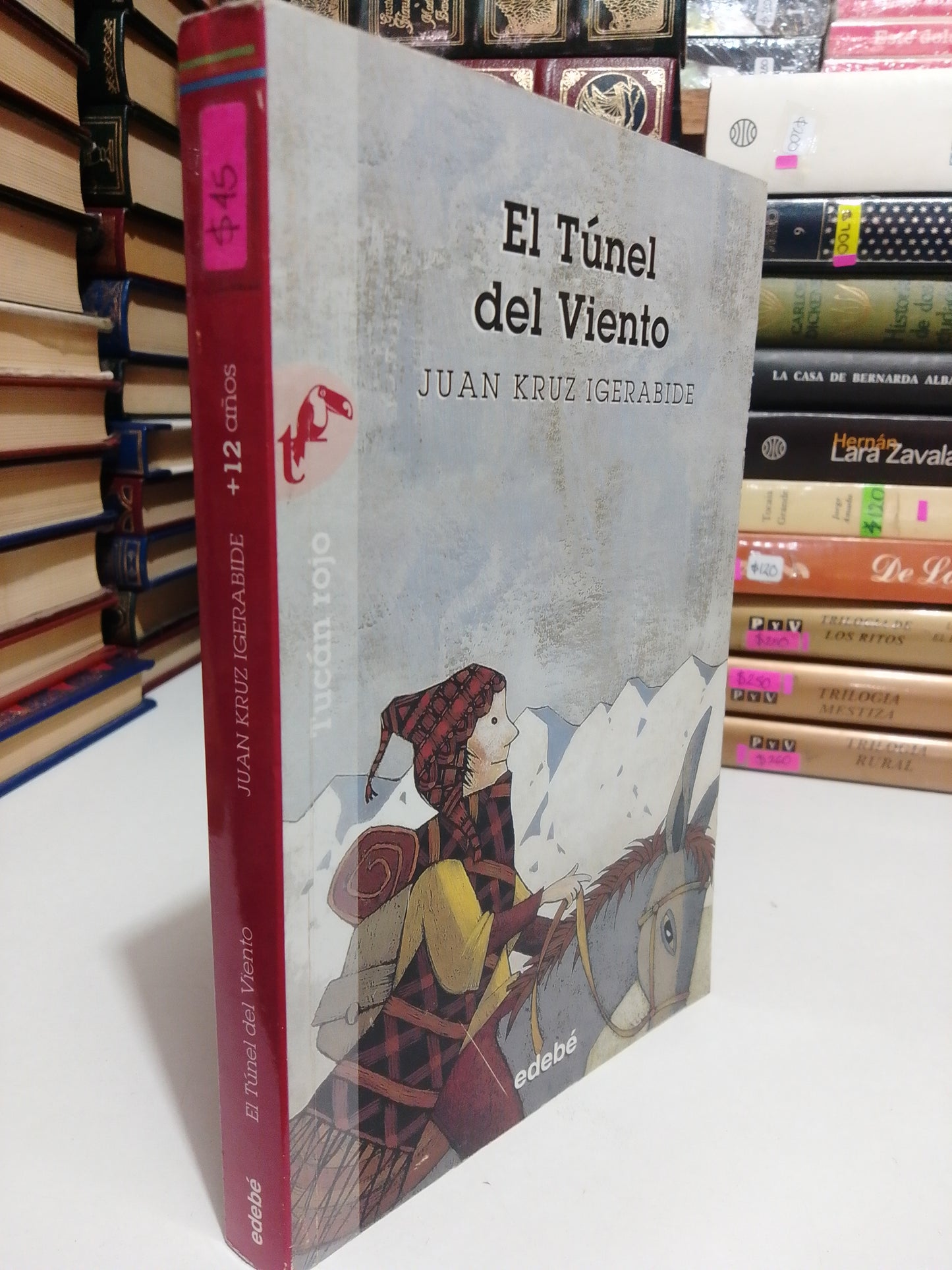EL TUNEL DEL VIENTO POR JUAN KRUZ IGERABIDE USADO INFANTIL JUAREZ