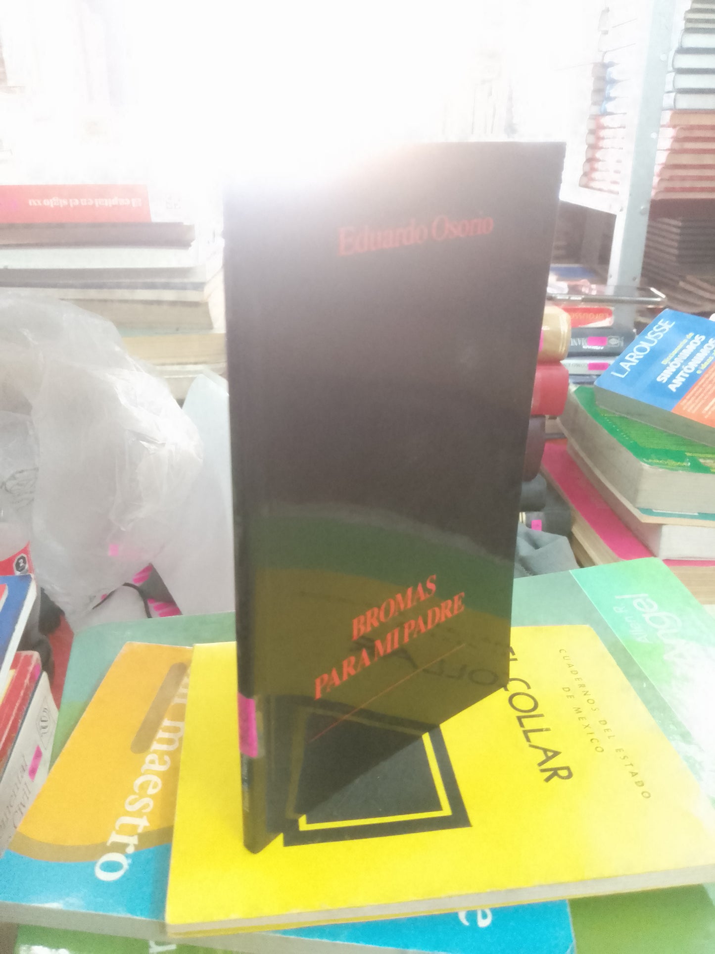 BROMAS PARA MI PADRE POR EDUARDO OSORIO USADO NOVELA LITERARIO 207