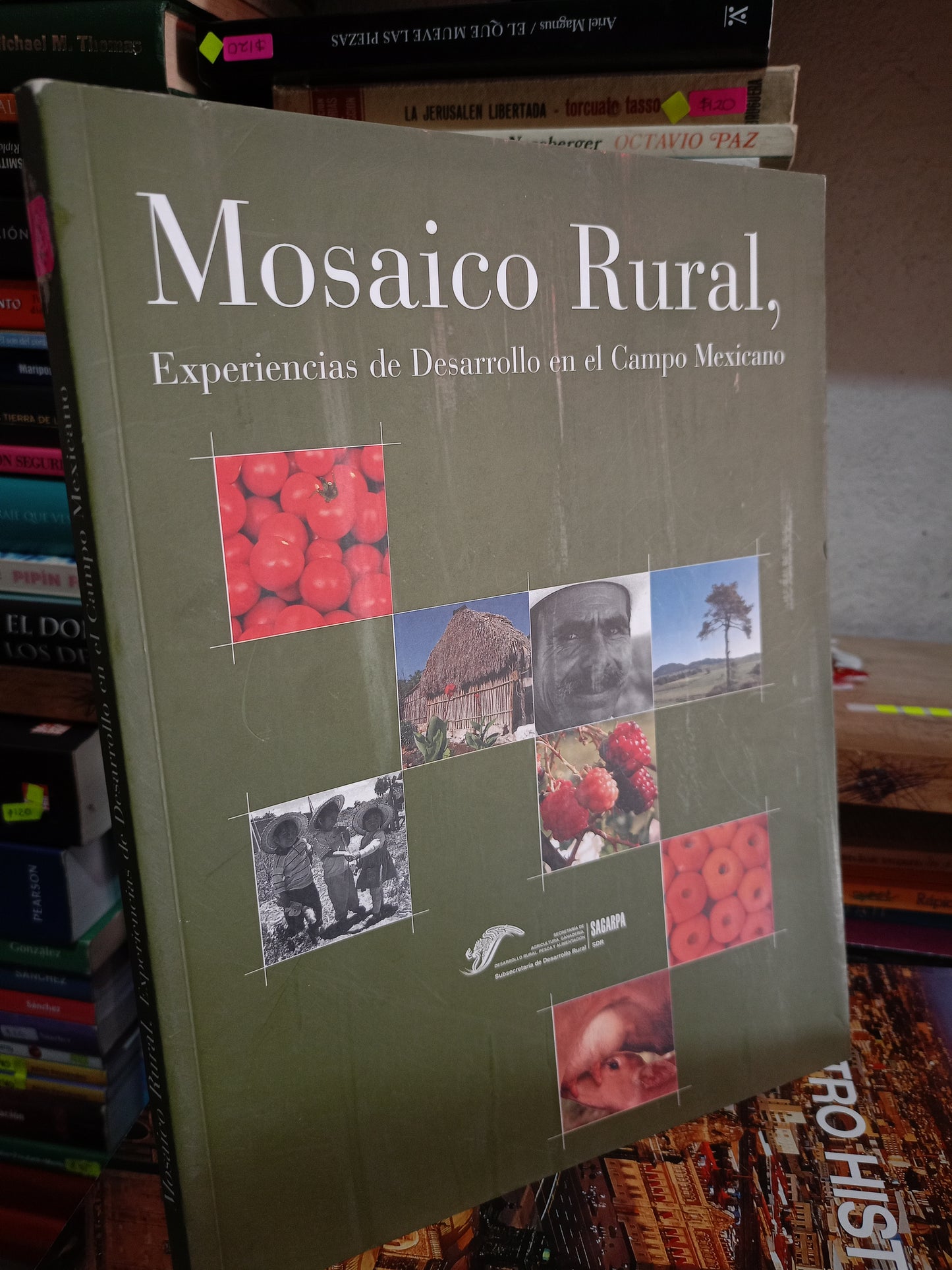 MASAICO RURAL EXPERIENCIAS DE DESARROLLO EN EL CAMPO MEXICANO USADO ARTE LITERARIO 305