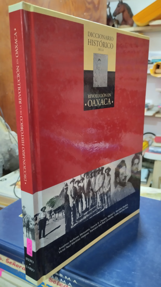 DICCIONARIO HISTORICO DE LA REVOLUCION EN OAXACA LIBRO USADO HISTORIA ALDAMA