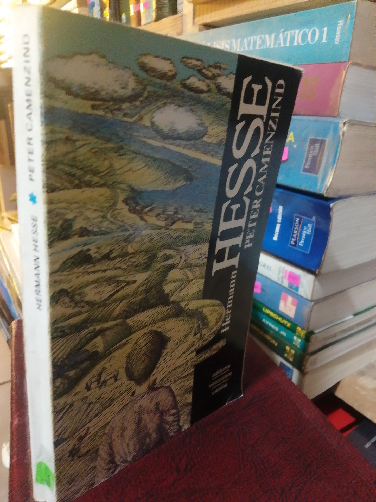 PETER CAMENZIND POR HERMANN HESSE USADO NOVELA JUAREZ
