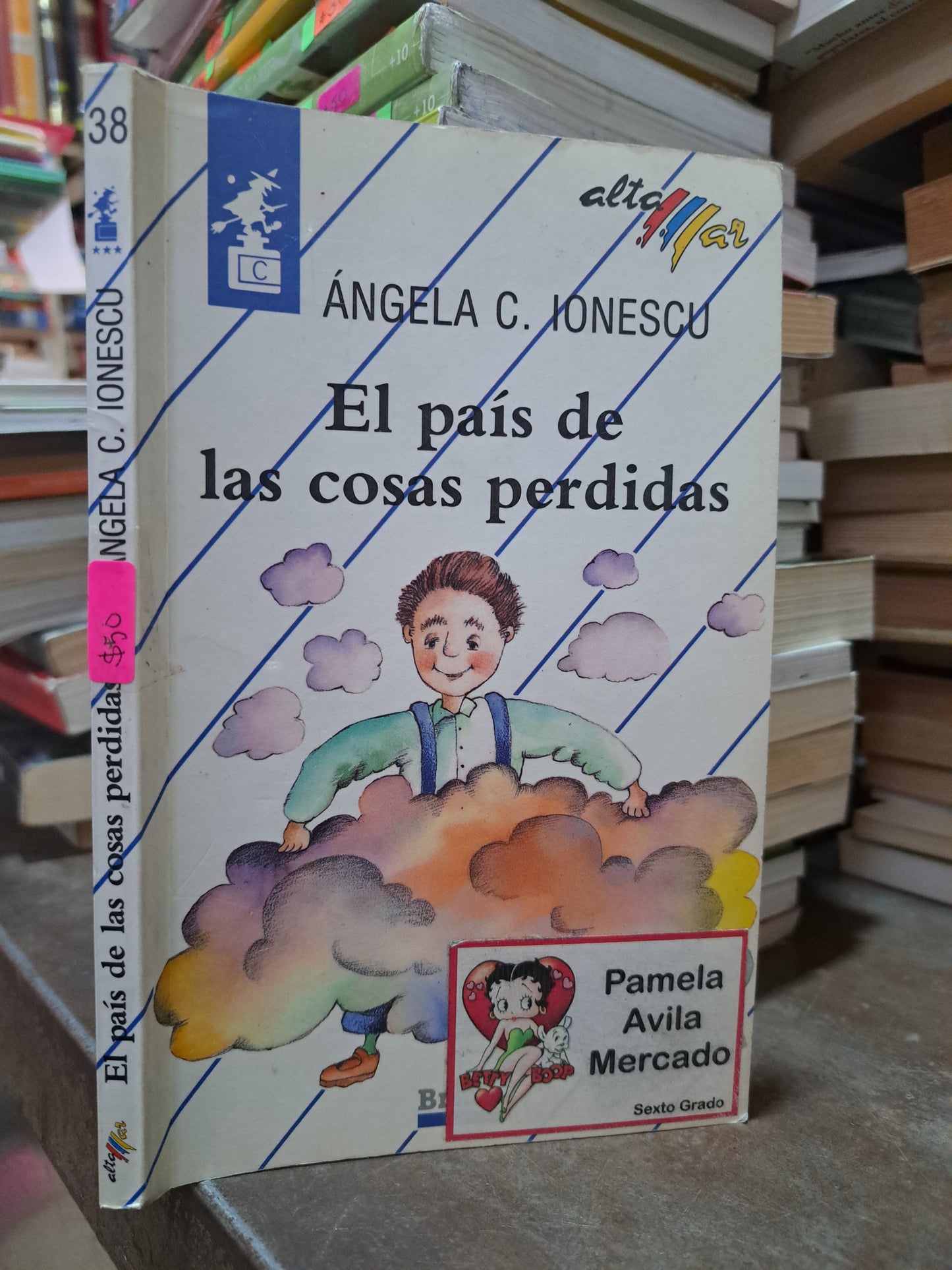 EL PAÍS DE LAS COSAS PERDIDAS ÁNGELA C. IONESCU USADO INFANTIL ALDAMA