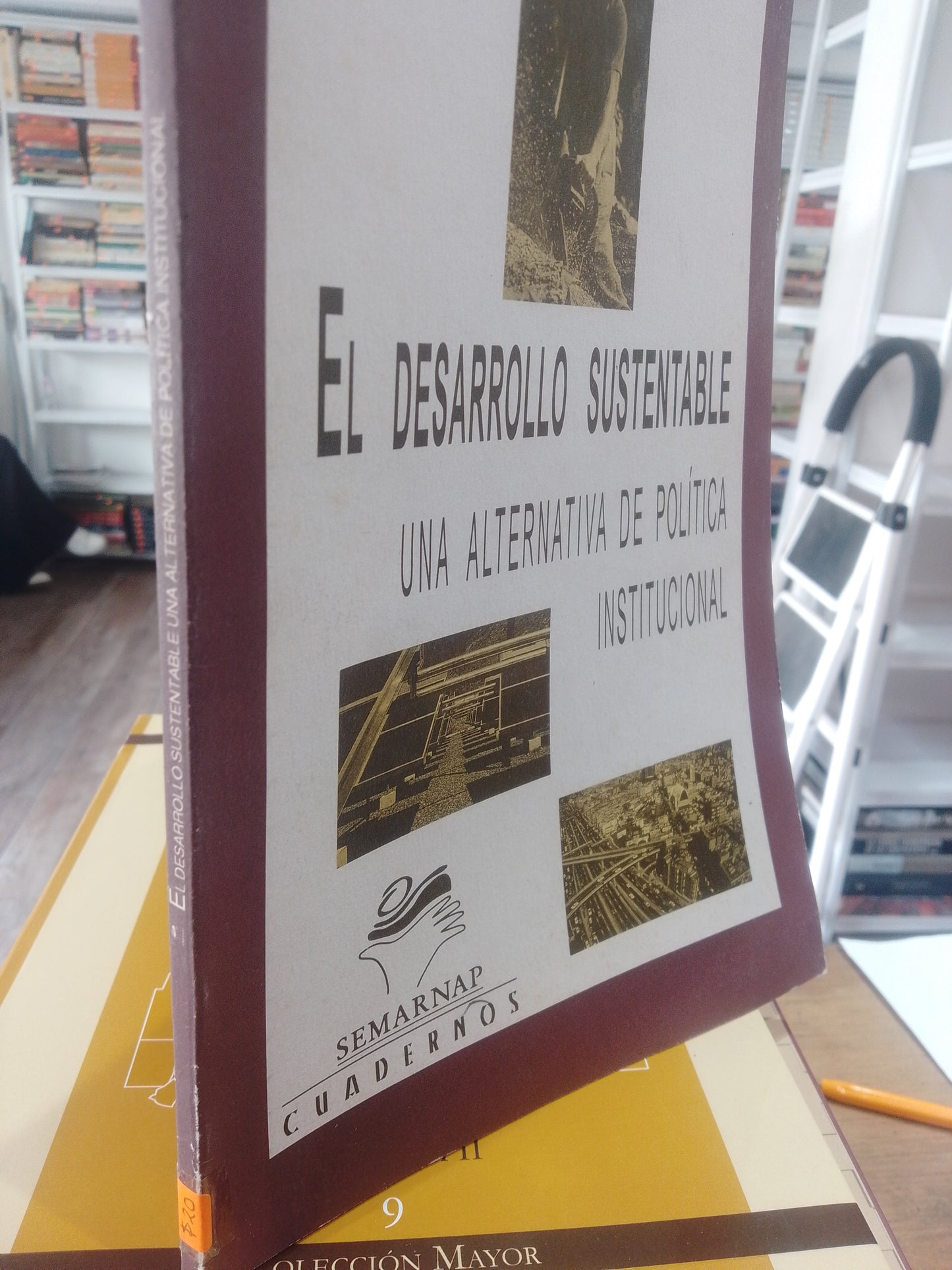EL DESARROLLO SUSTENTABLE UNA ALTERNATIVA DE POLITICA INSTITUCIONAL SEMARNAT USADO POLITICA JUAREZ 515