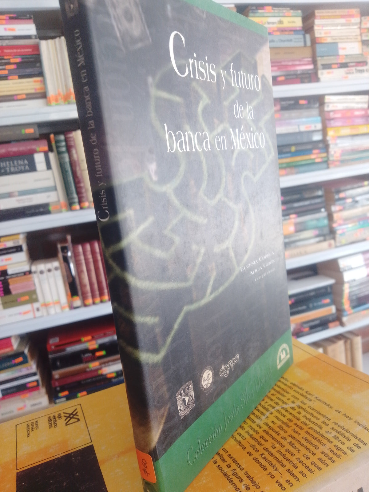 CRISIS Y FUTURO DE LA BANCA EN MEXICO EUGENIA CORREA ALICIA GIRON USADO SOCIOLOGIA JUAREZ 515