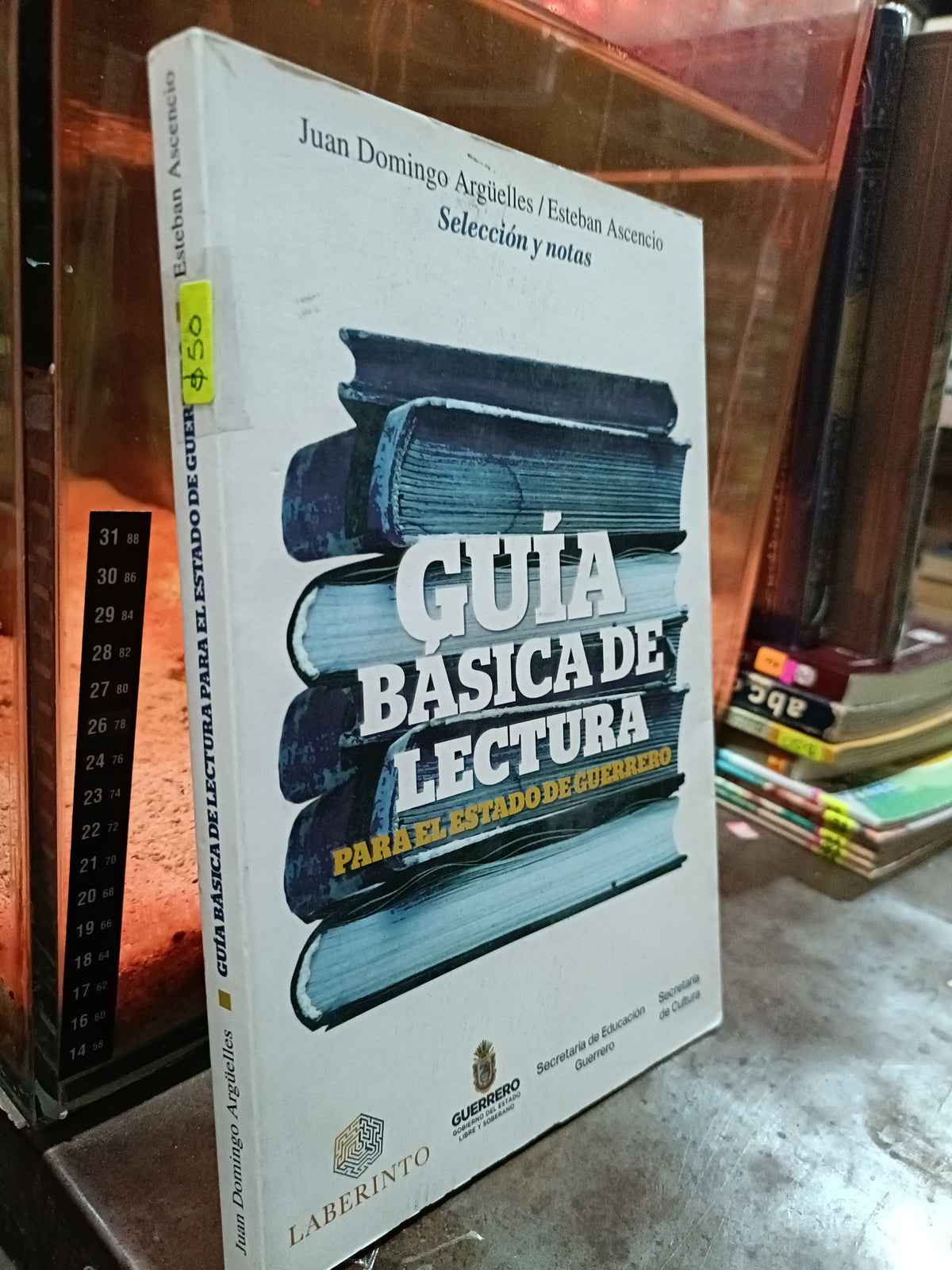 GUIA BASICA DE LECTURA PARA EL ESTADO DE GUERRERO POR JUAN DOMINGO ARGUELLES USADO EDUCACION ALDAMA
