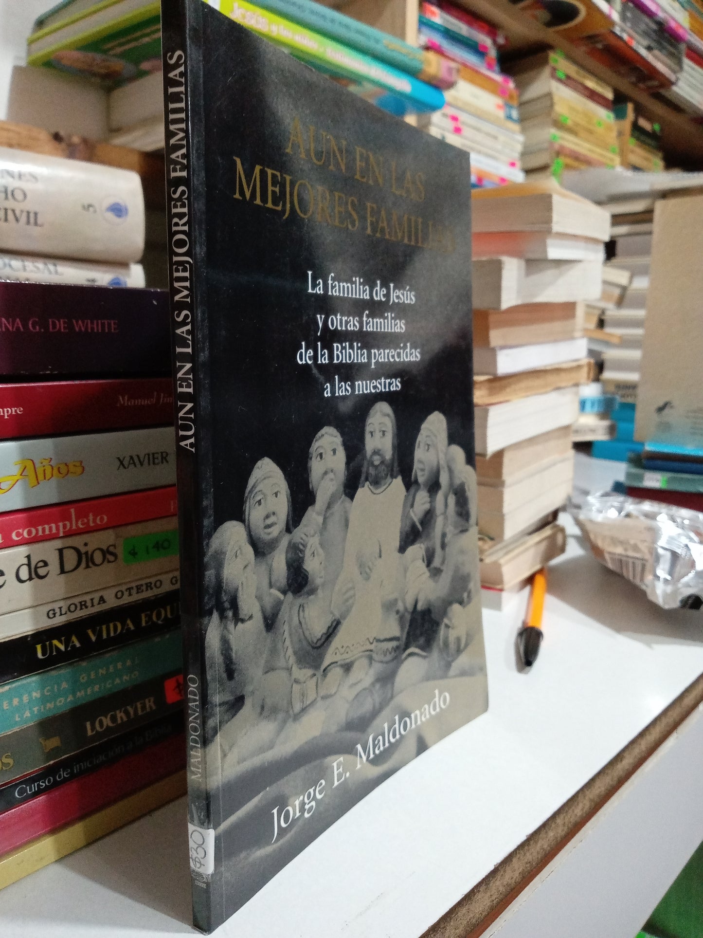 AUN EN LAS MEJORES FAMILIAS POR JORGE E MALDONADO USADO RELIGION JUAREZ