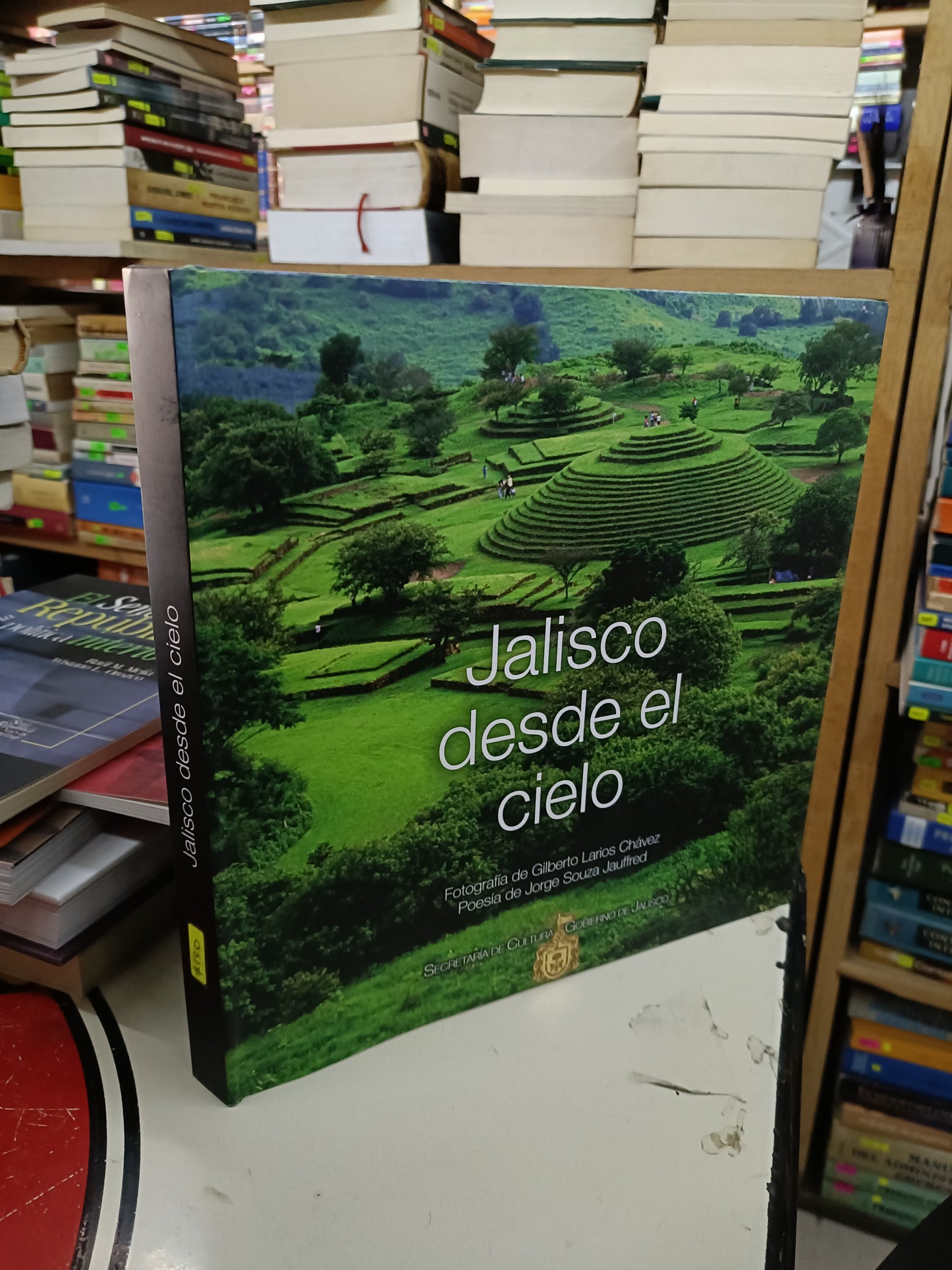 JALISCO DESDE EL CIELO USADO ARTE LITERARIO 207