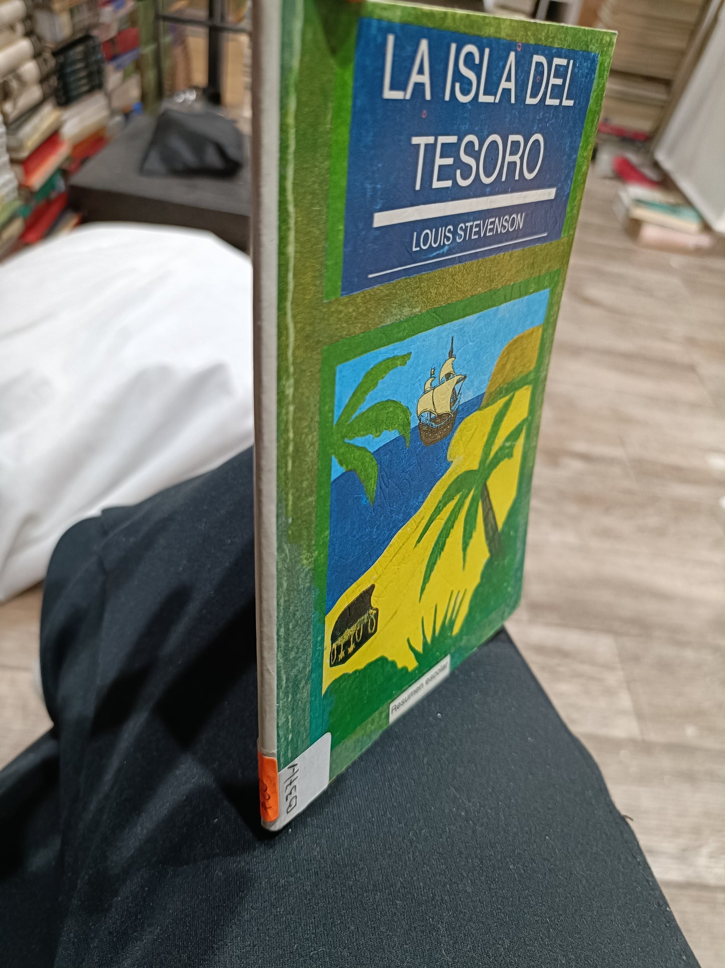 LA ISLA DEL TESORO POR LOUIS STEVENSON RESUMEN ESCOLAR  USADOS NOVELAS JUAREZ 515