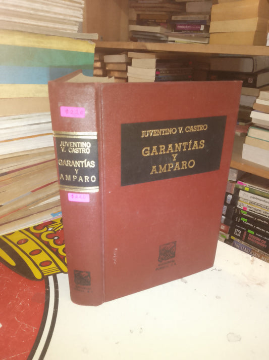 GARANTÍAS Y AMPARO POR JUVENTINO V. CASTRO USADO DERECHO LITERARIO 207