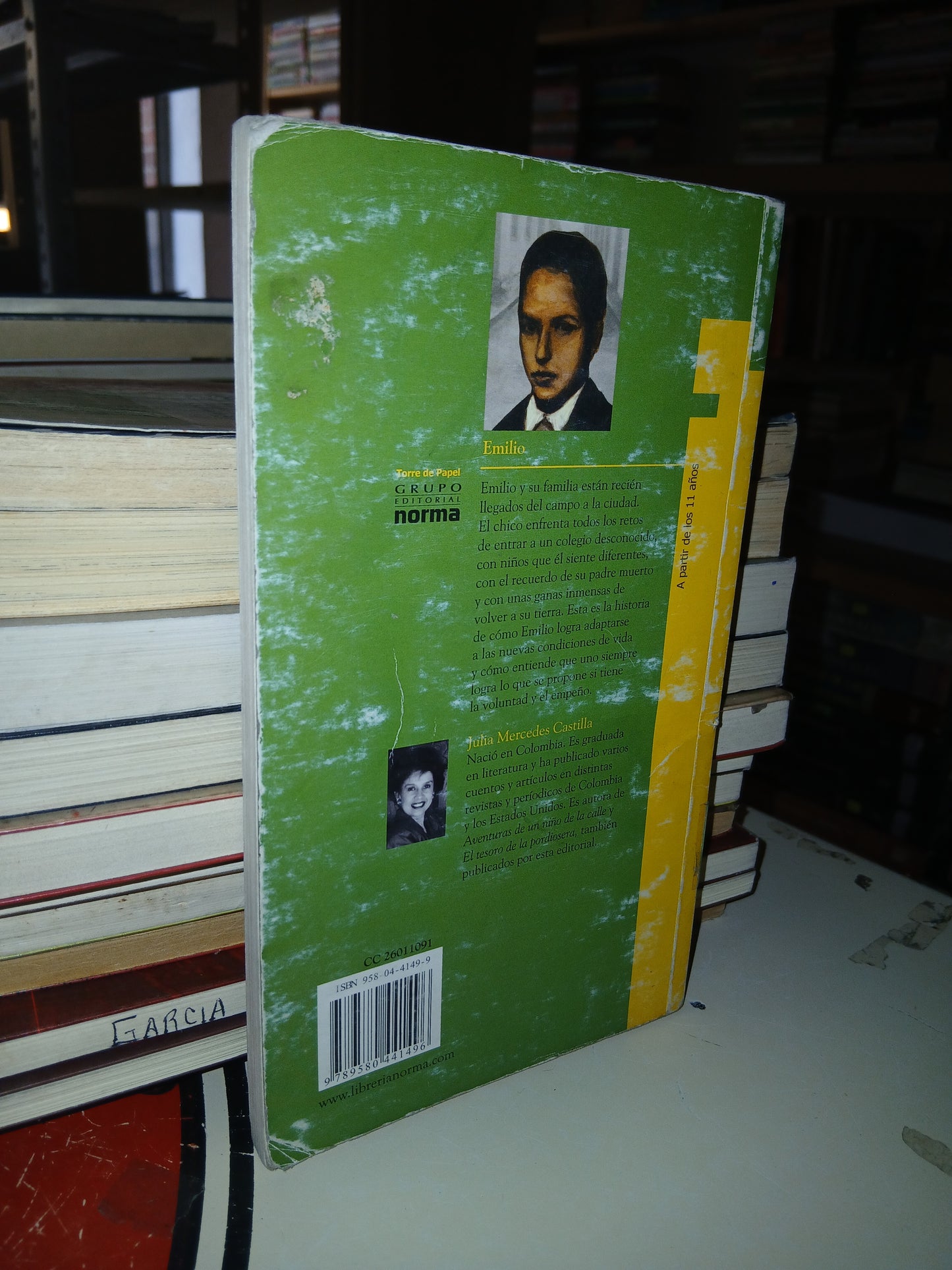 EMILIO POR JULIA MERCEDES CASTILLA USADO NOVELA LITERARIO 207