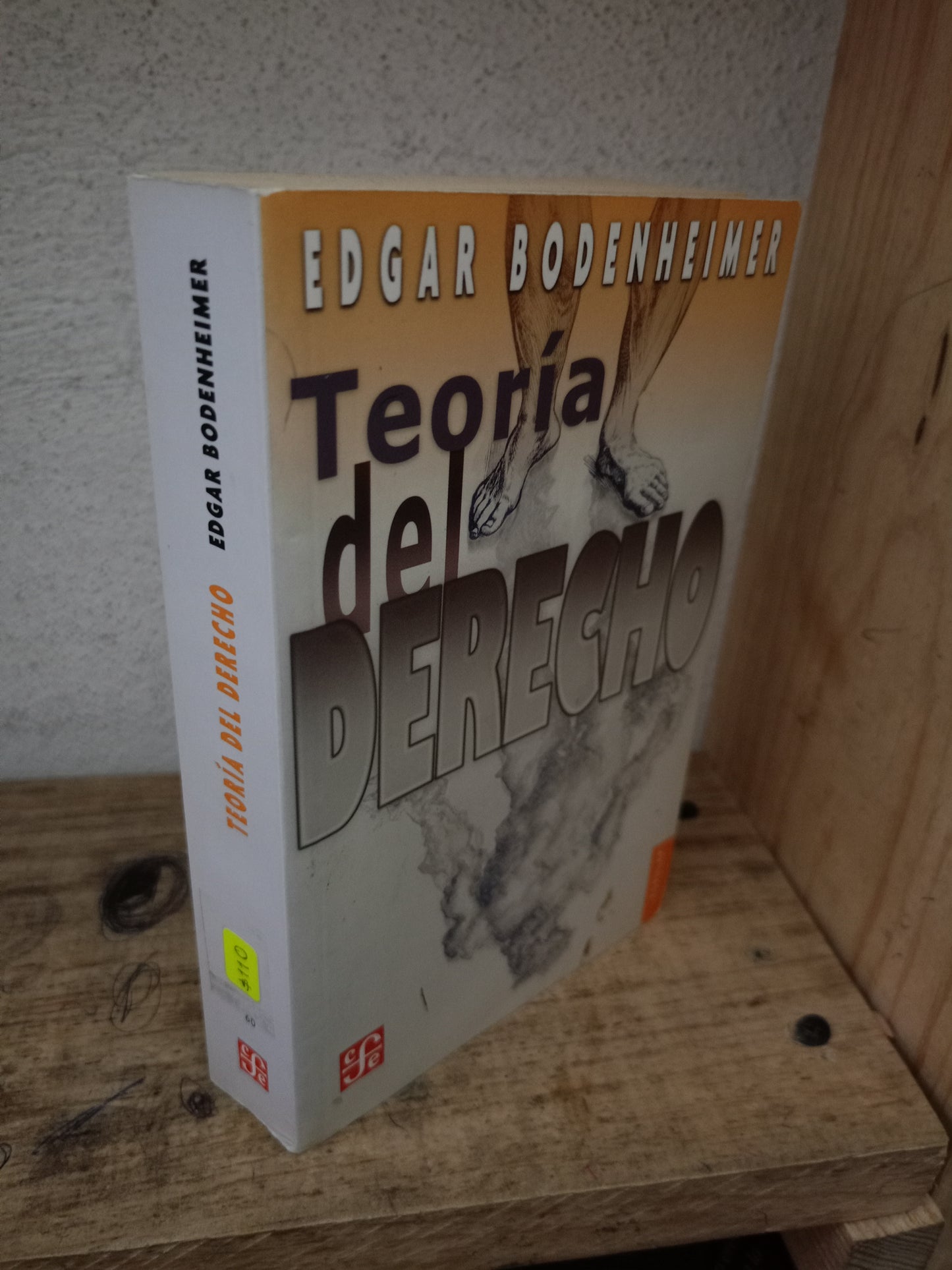 TEORÍA DEL DERECHO POR EDGAR BODENHEIMER USADO DERECHO LITERARIO 305