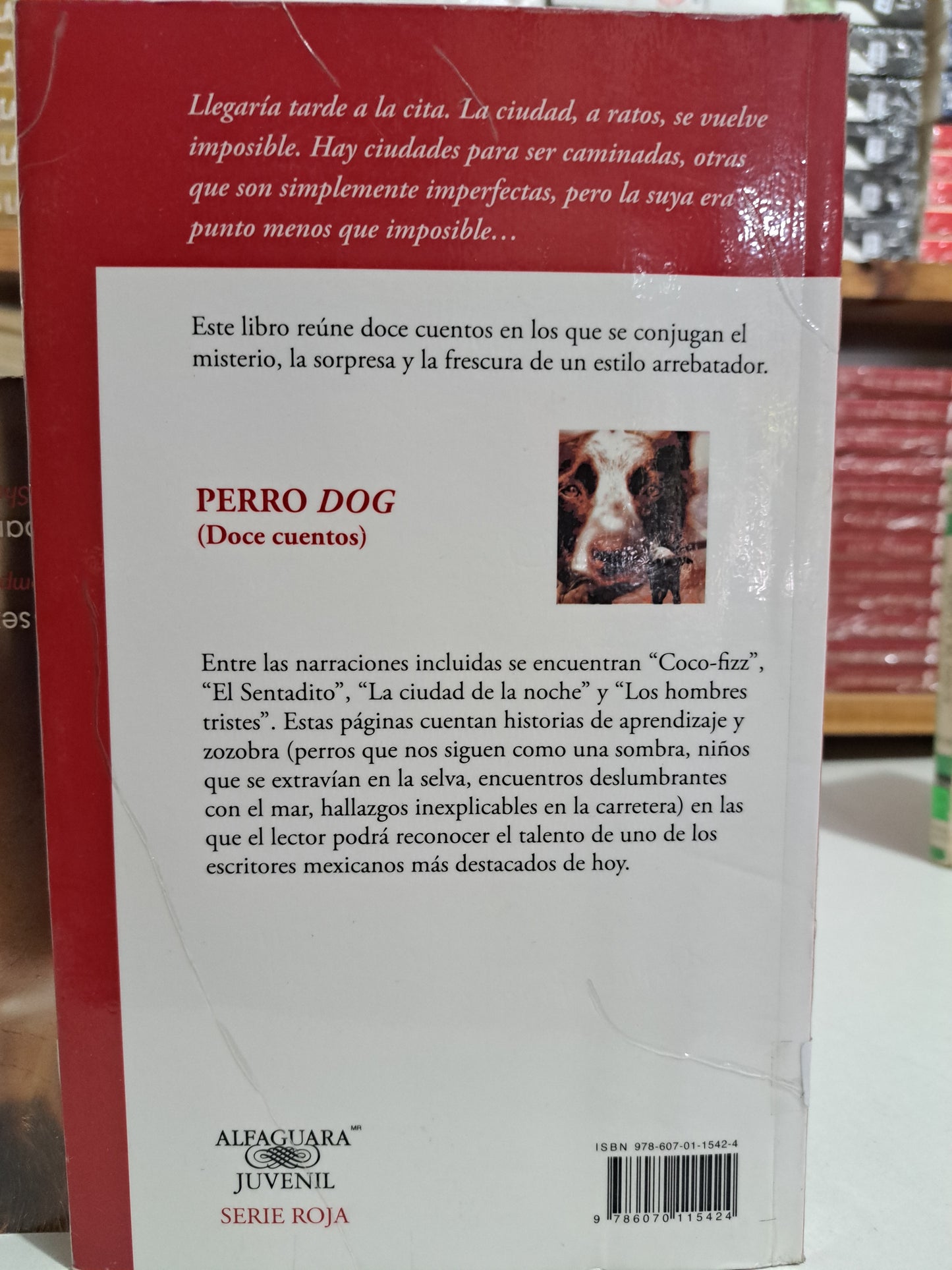 PERRO DOG DAVID MARTÍN DEL CAMPO USADO NOVELA JUÁREZ
