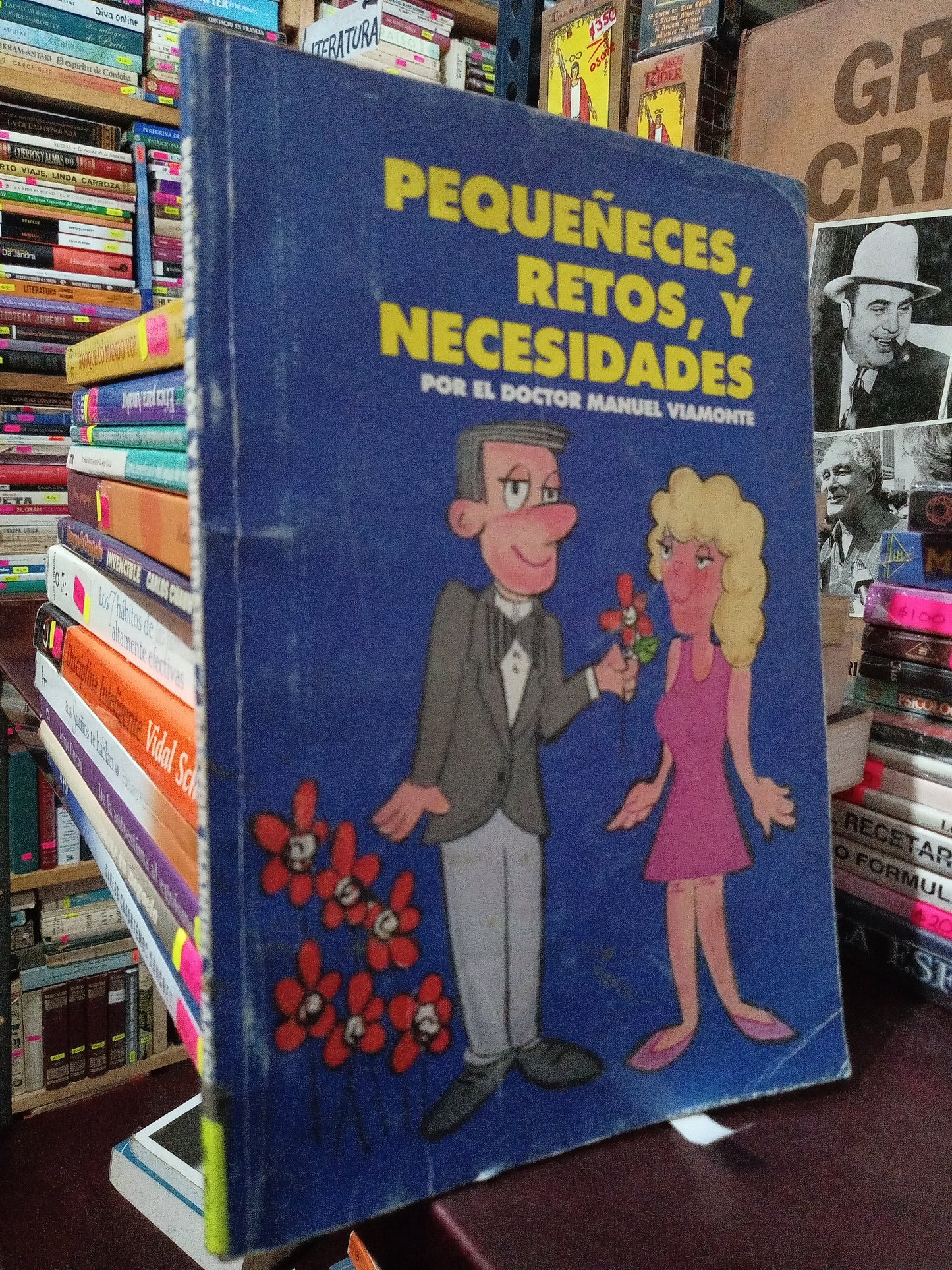 PEQUEÑECES RETOS Y NECESIDADES POR EL DOCTOR MANUEL VIAMONTE USADO S.PERSONAL LITERARIO #305