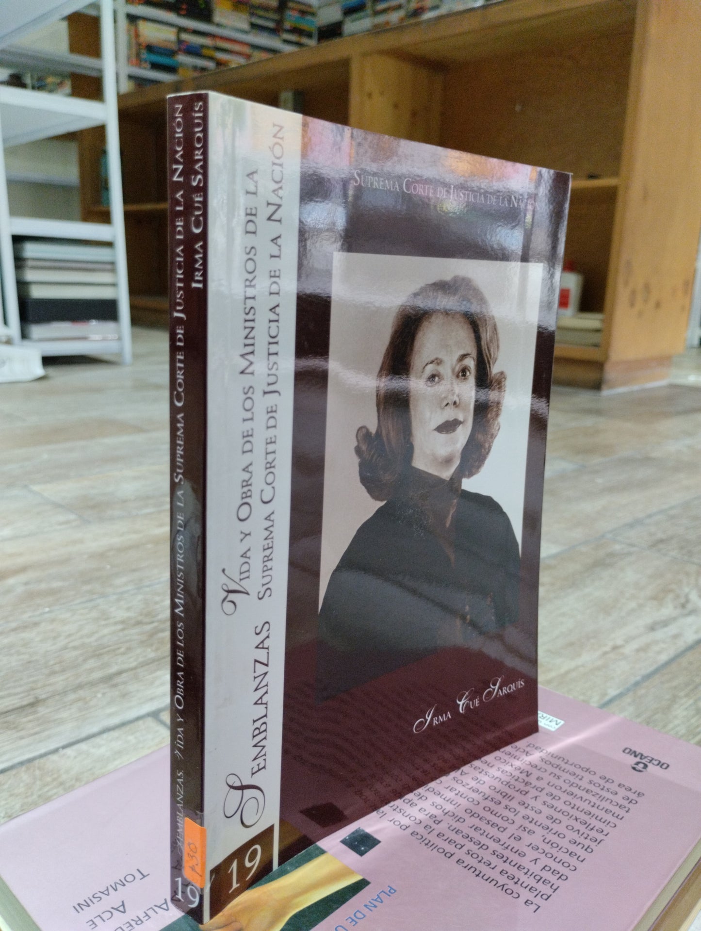 TEMBLANZAS VIDA Y OBRA DE LOS MINISTROS DE LA SUPREMA CORTE DE JUSTICIA DE LA NACION POR IRMA CUE SARQUIS USADO HISTORIA JUAREZ 515