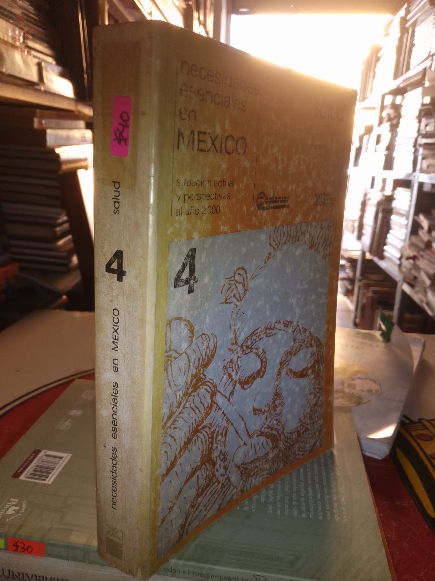 NECESIDADES ESENCIALES EN MEXICO 4 POR AUTORES VARIOS USADO SOCIOLOGÍA LITERARIO 207